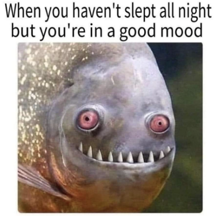 Mom's Memes with a Special Recipe Bonus!