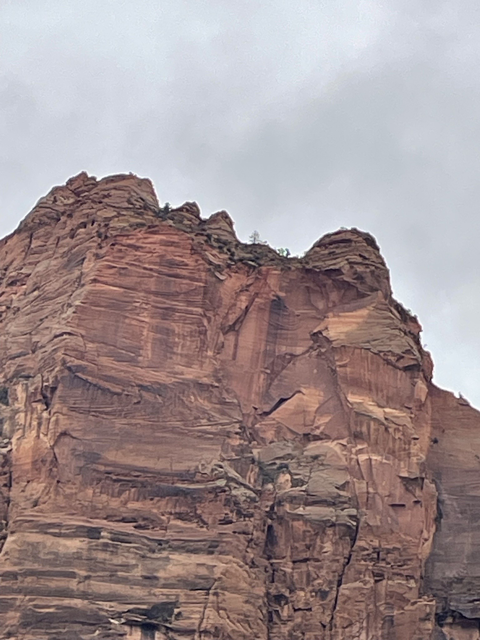 Capturing the Beauty of Zion National Park