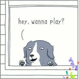 Bark bark!
