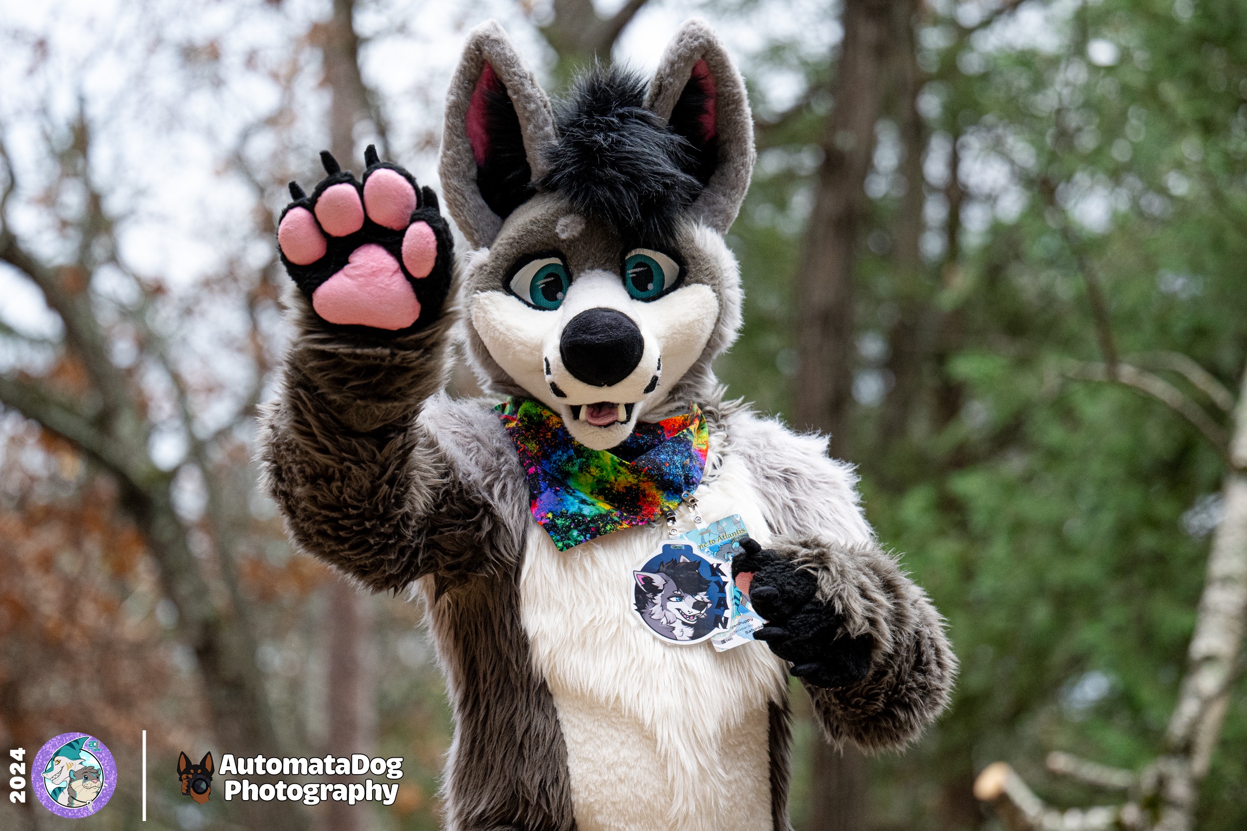Furry Photography Diary: Day 460 and Counting!