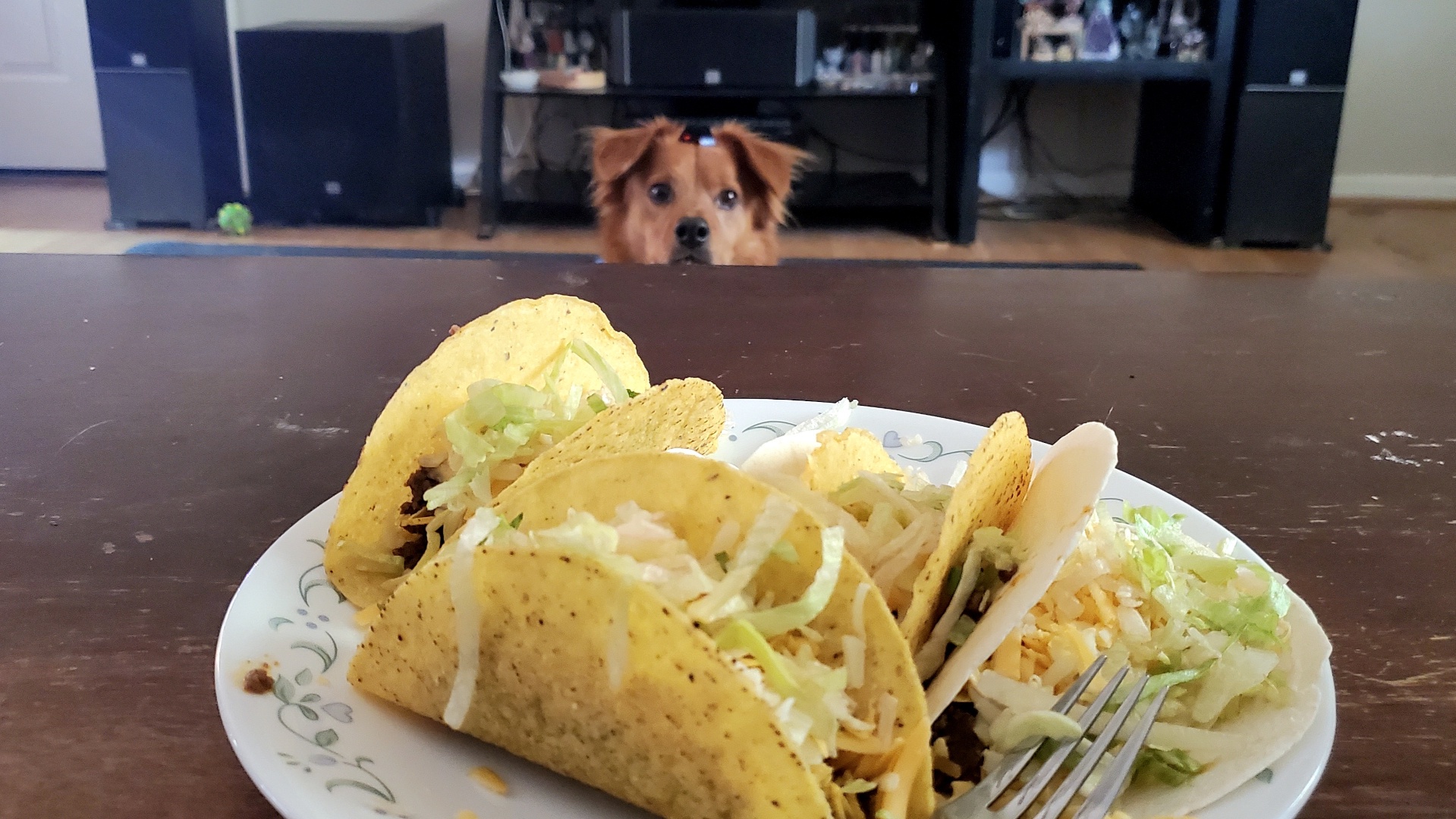 That Moment When I See Your Breakfast Post