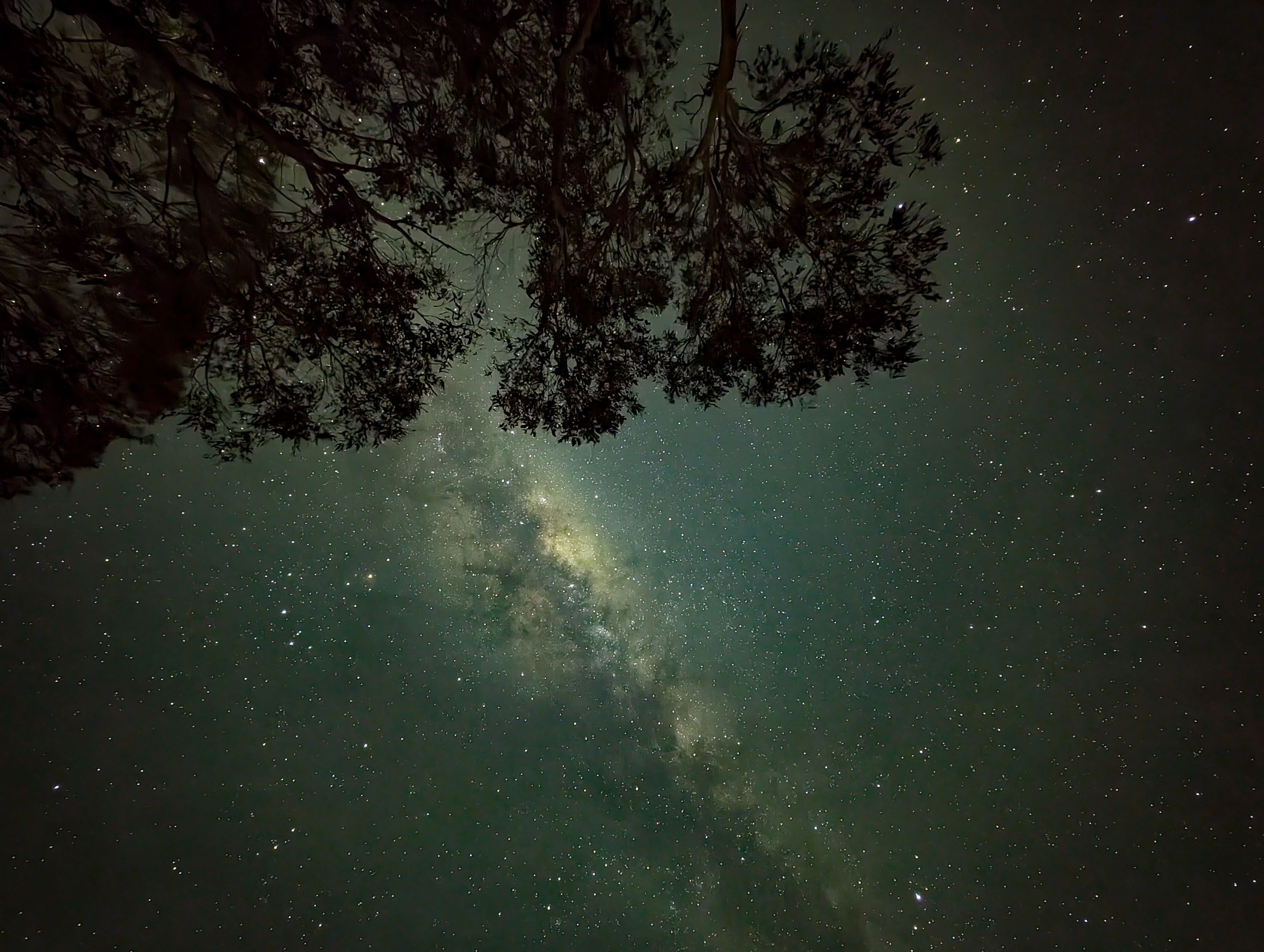 Journey Through the Milky Way: A Cosmic Adventure