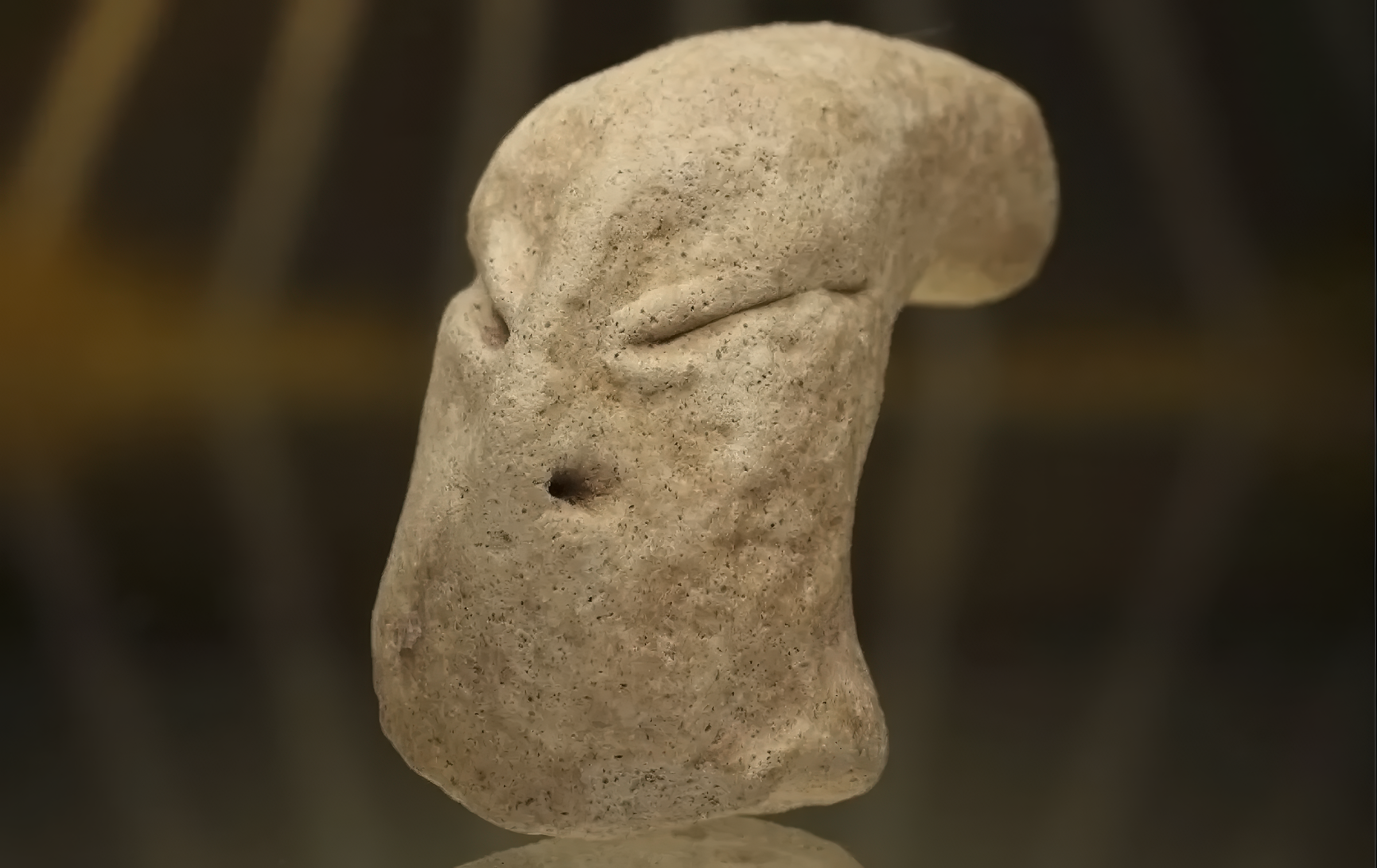 An Unusual Noggin: A Quirky Character Study