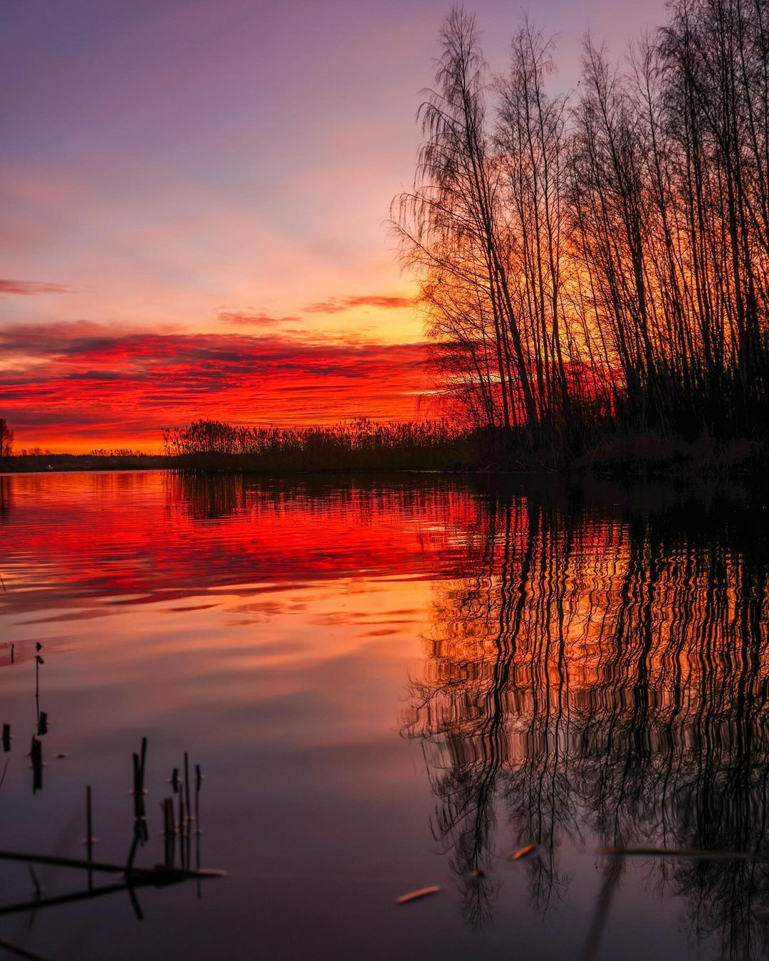 When the sky expresses its feelings through vibrant colors
