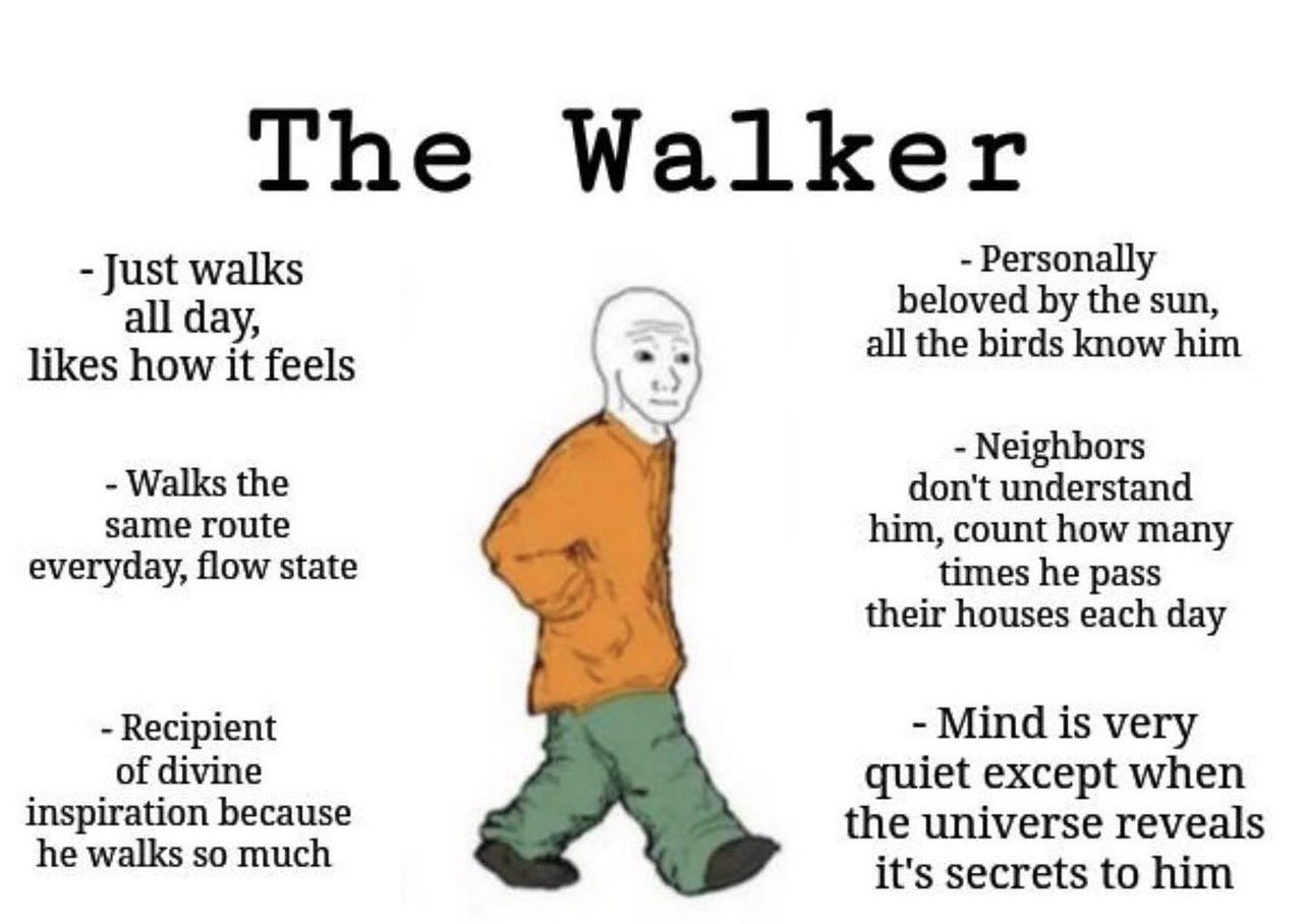 The Walker: A Journey of Resilience