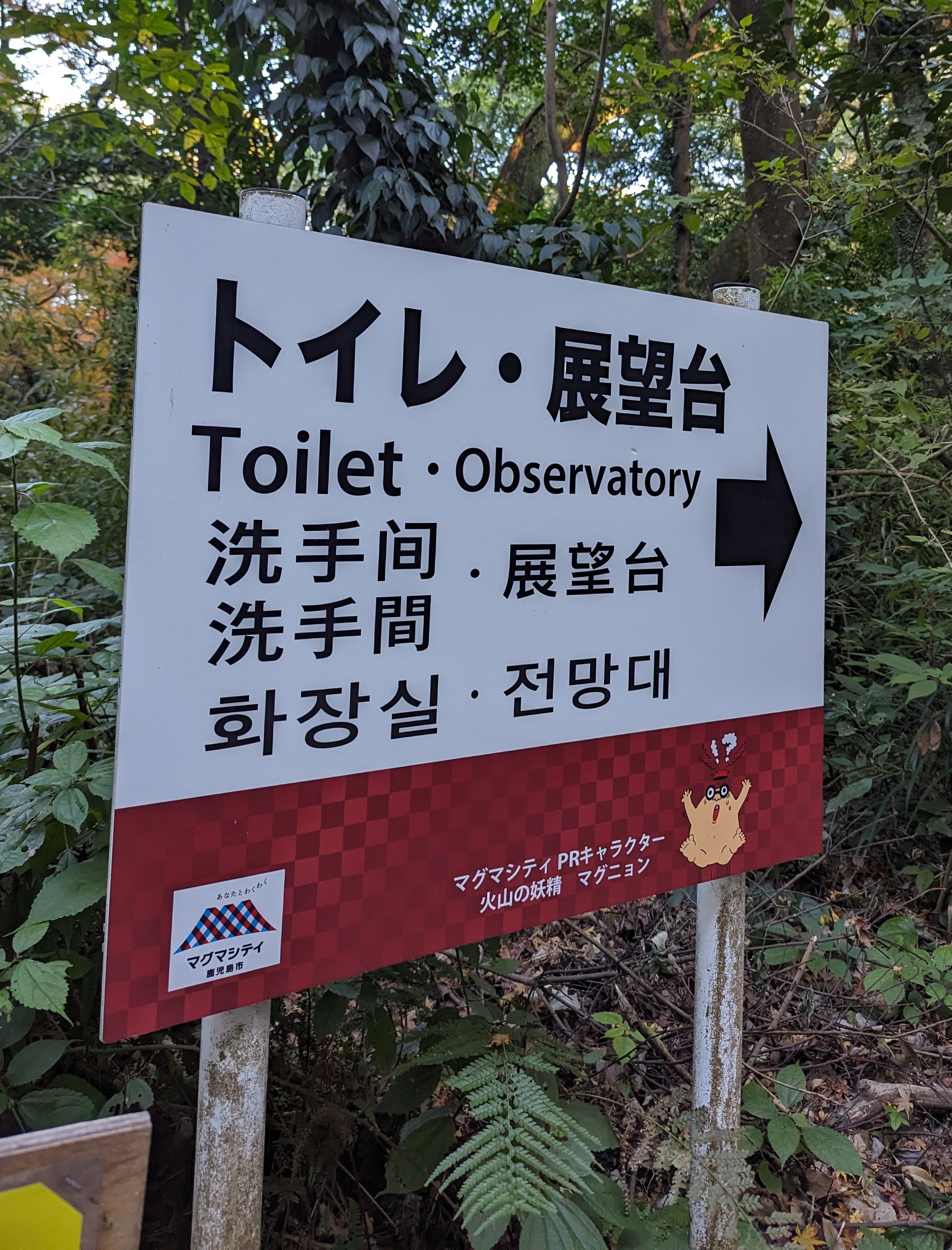 Wait, What? Let's Talk About Phrasing!