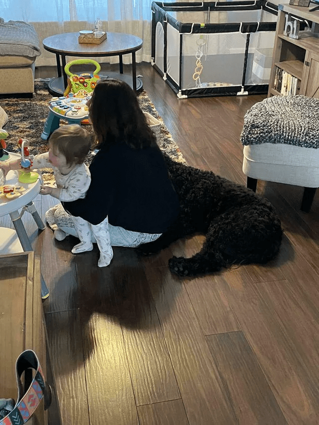 Adventures in Dog-Sitting: A Day in the Life