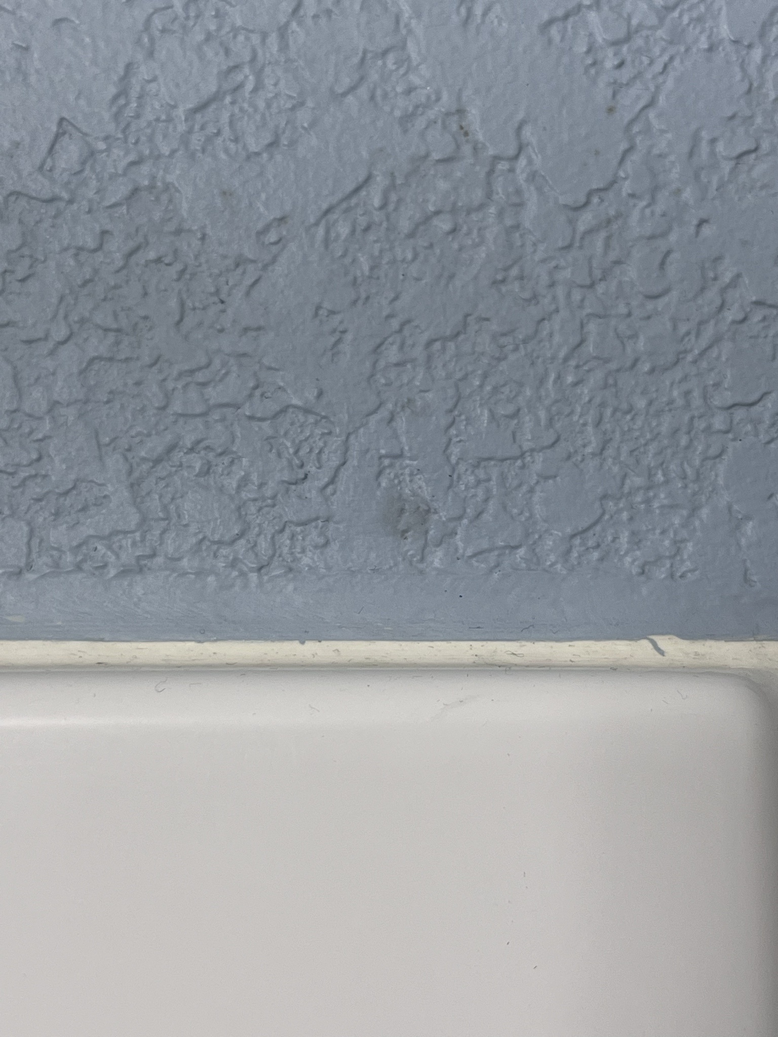 Should I Just Kilz Over Those Old Mildew Stains or Start Fresh with Sanding?