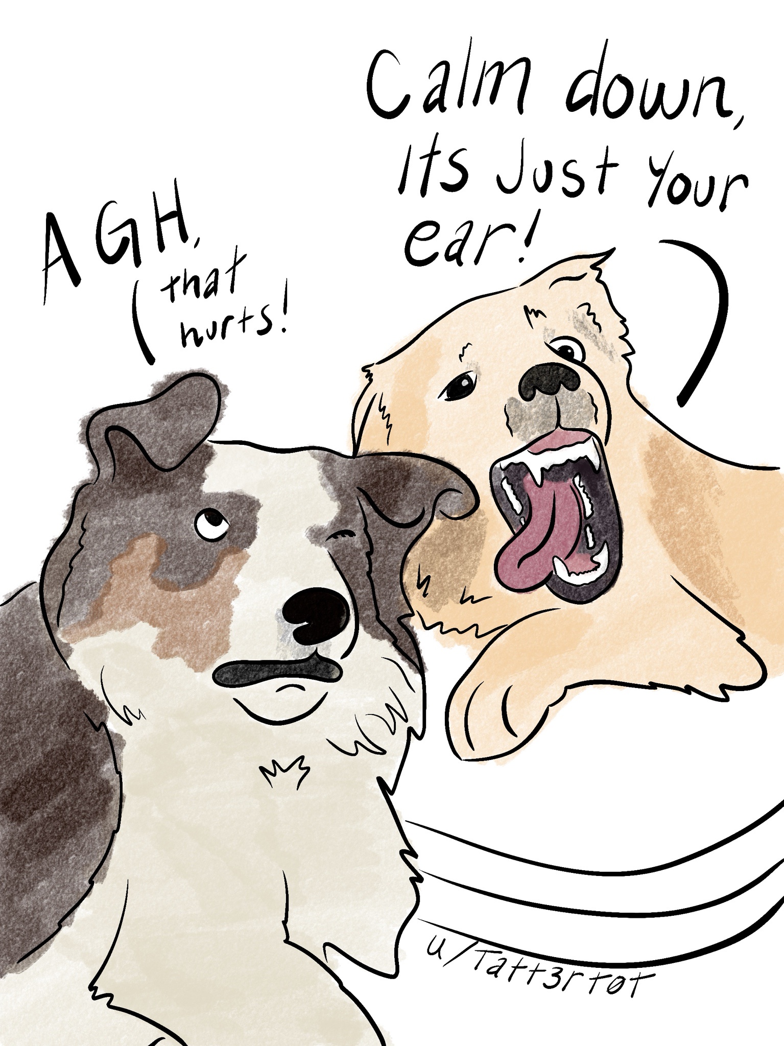 "I swear they’re actually best friends" - u/Raveler_gav