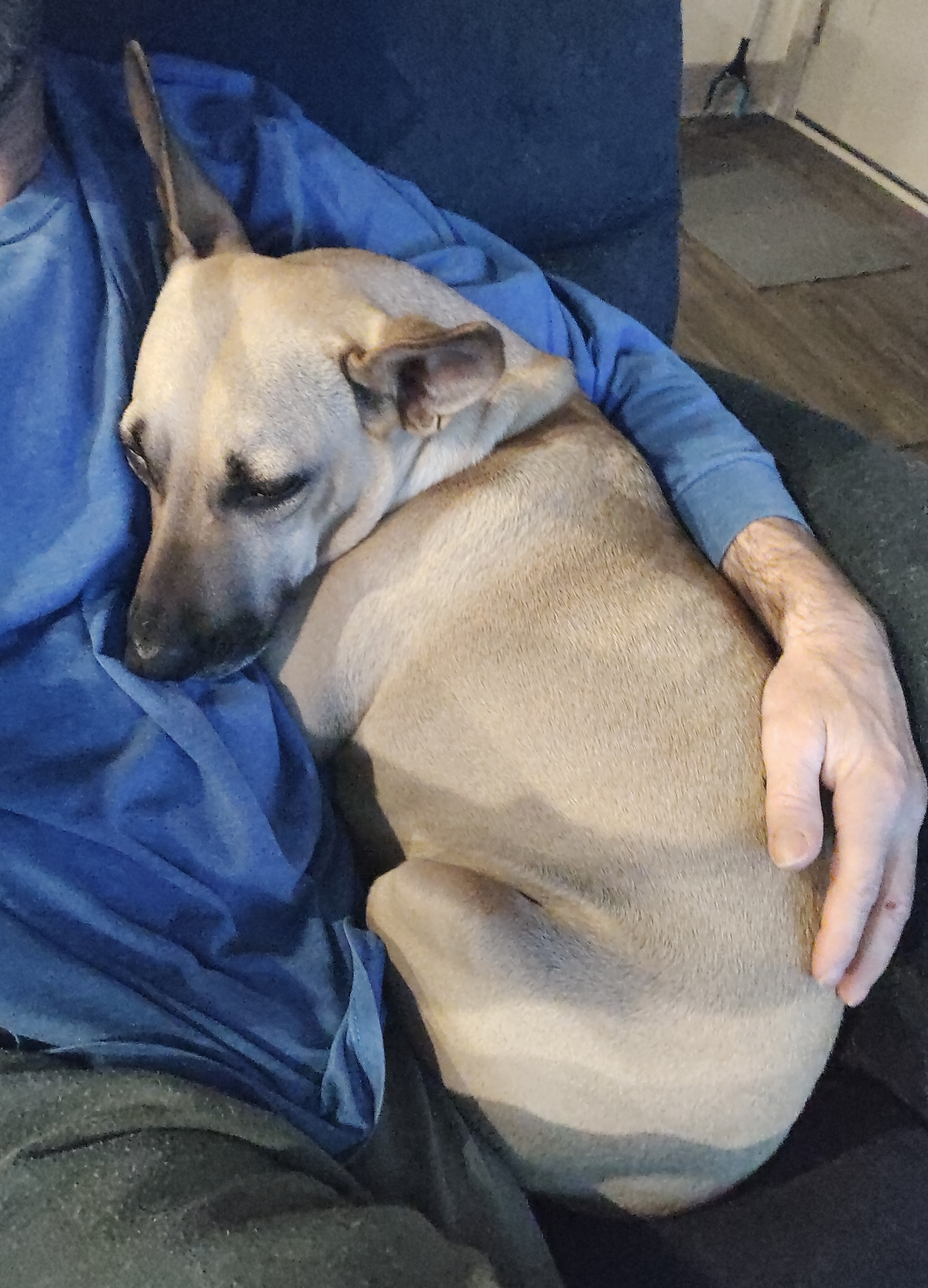 Maggie Has Found Her New Home!