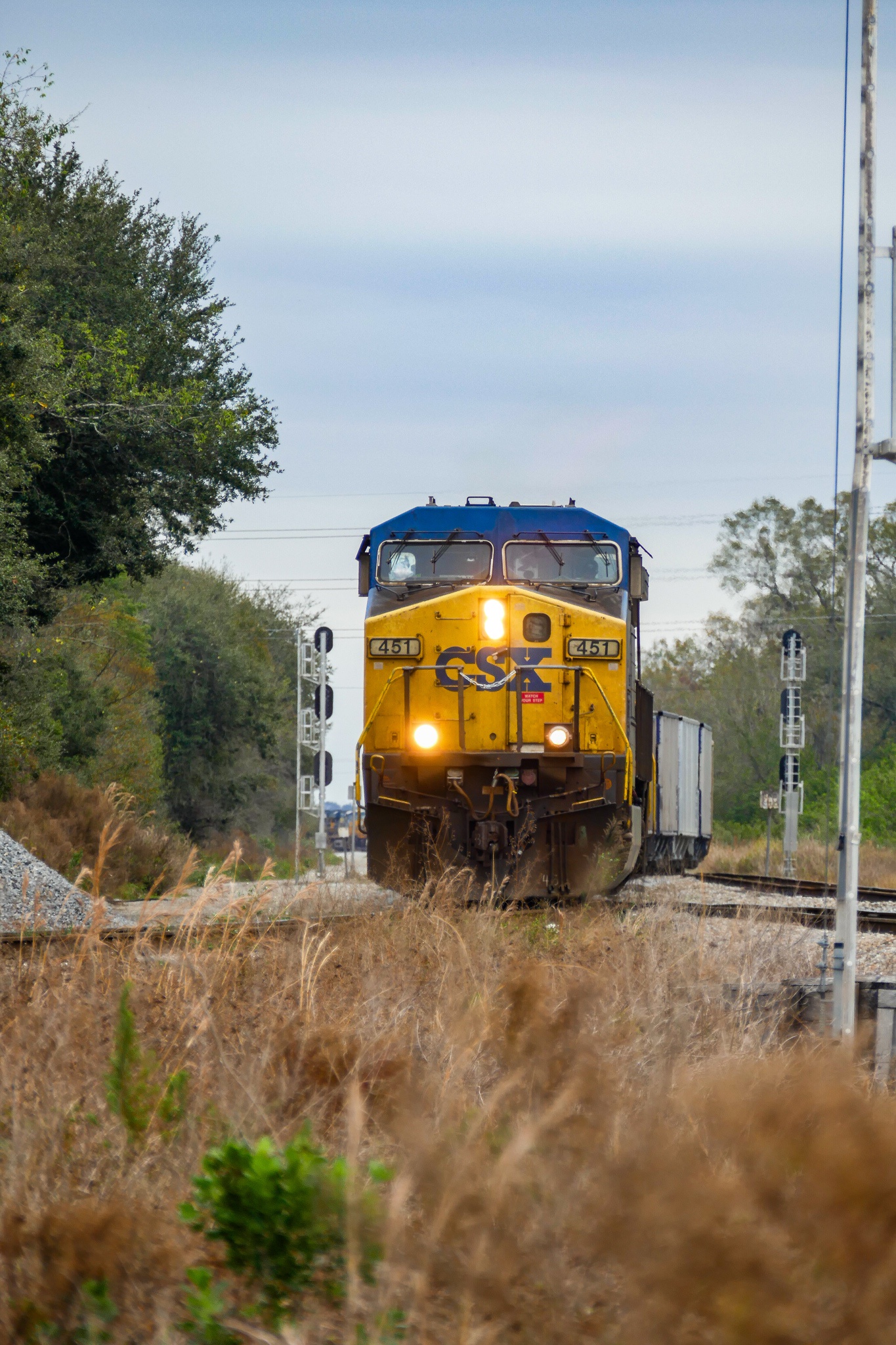 CSX: A Journey Through the World of Railroads