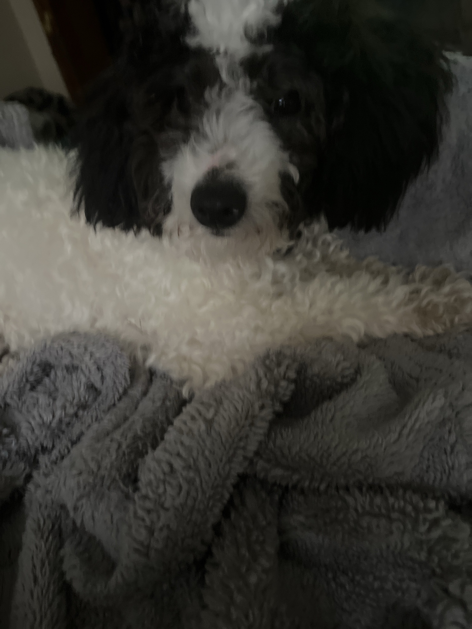 Feeling Under the Weather and Stuck in Bed