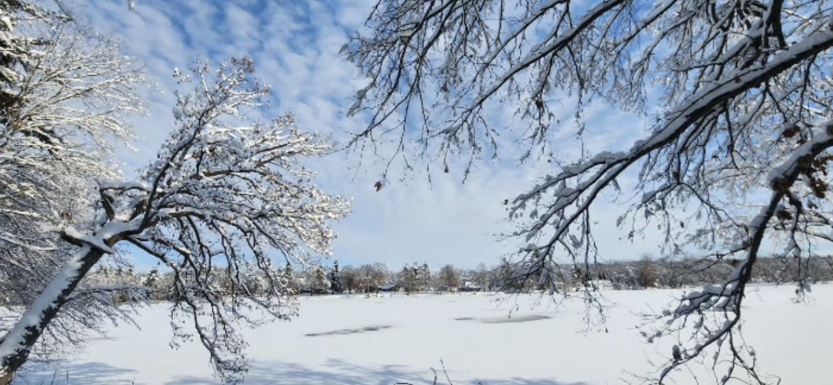 Embracing the Beauty of Winter