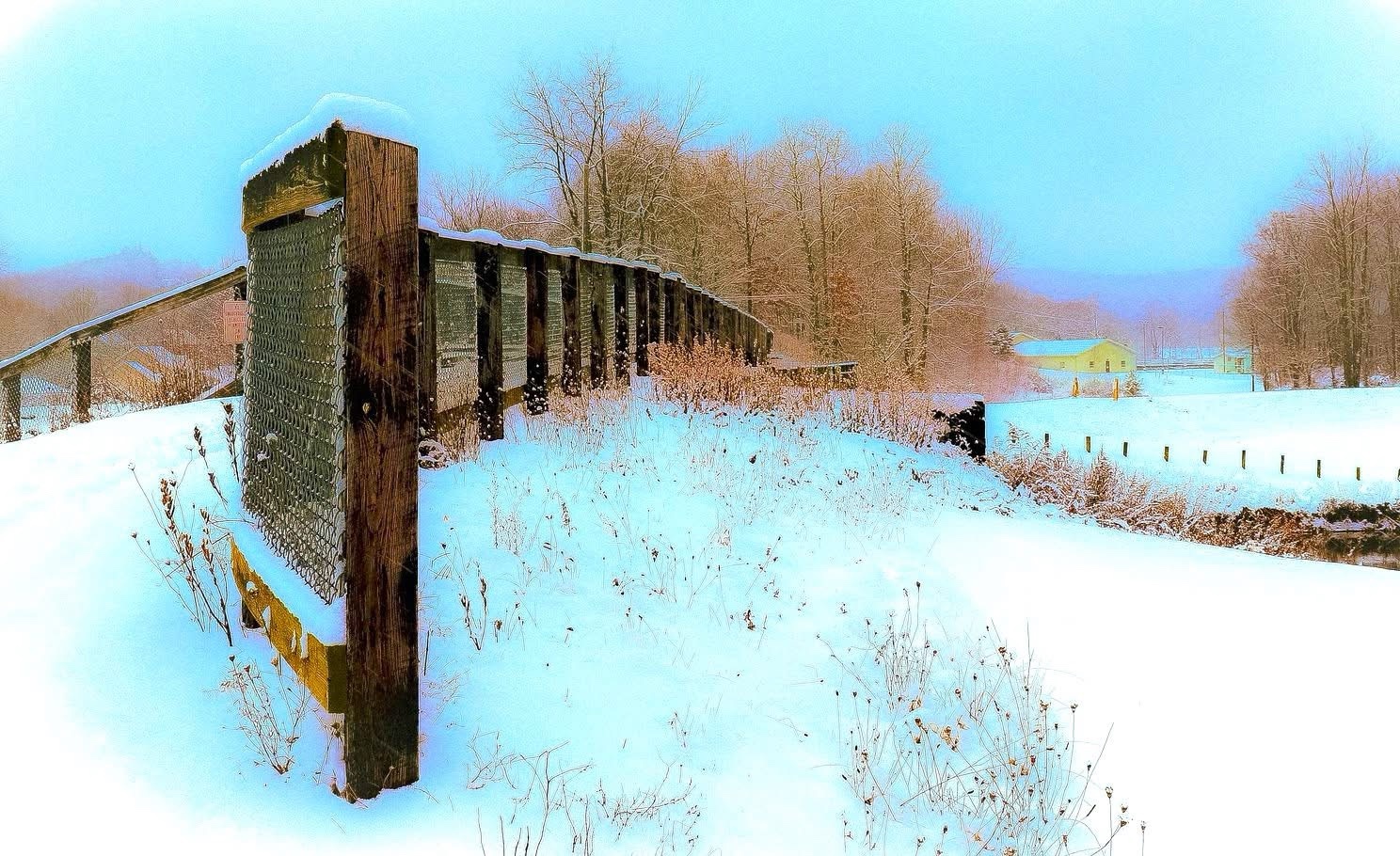 A Winter Wonderland: Snow-Covered Serenity