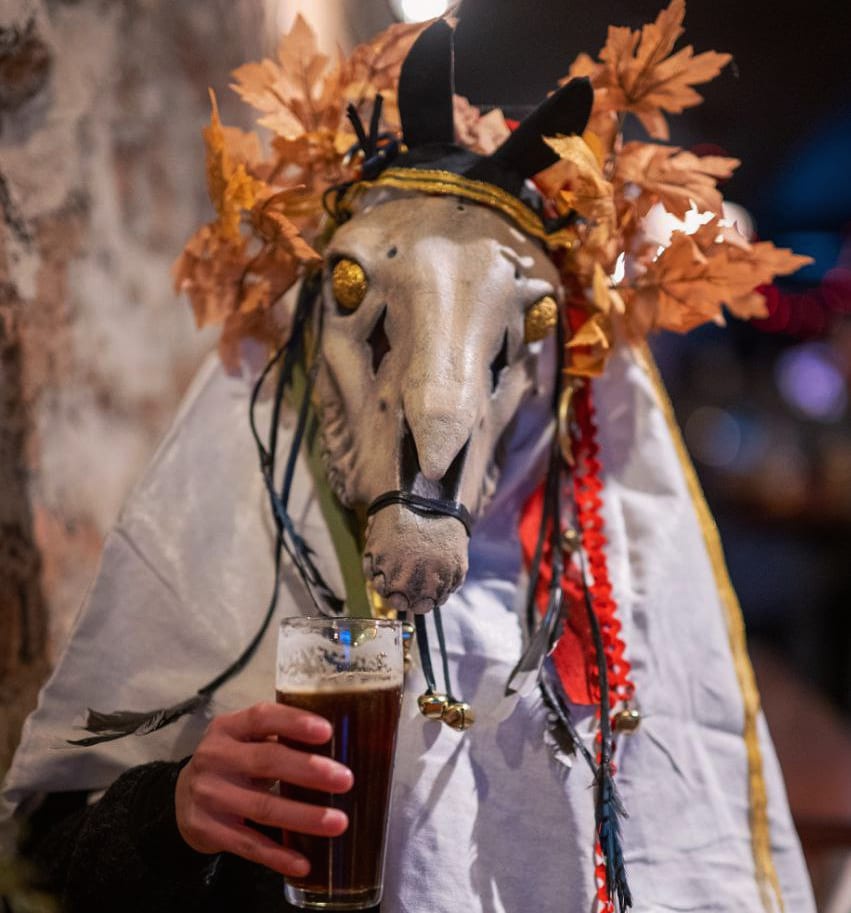 Many Mistook Me for This Horse During the Season