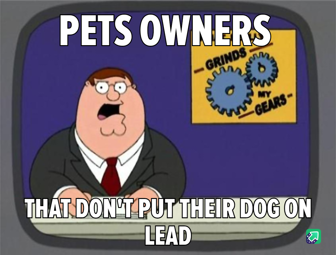 No matter how sweet your dog is, keep it on a leash around strangers