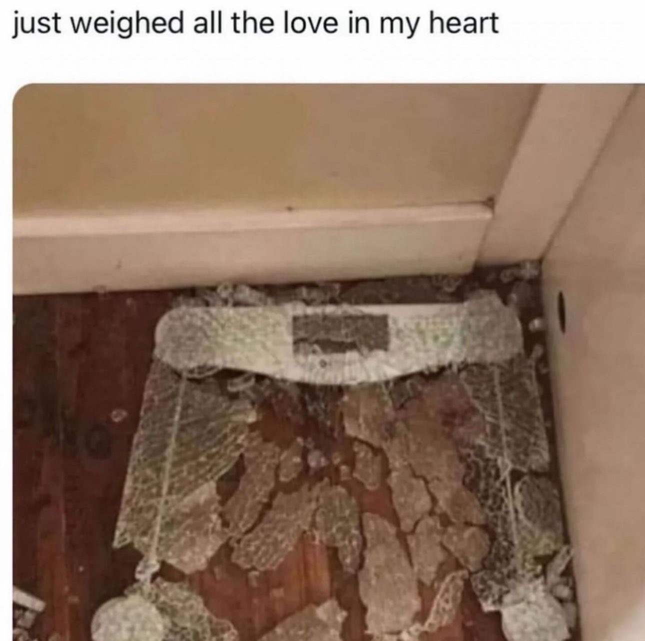 A Heartwarming Display of Love: That's a Whole Lot!
