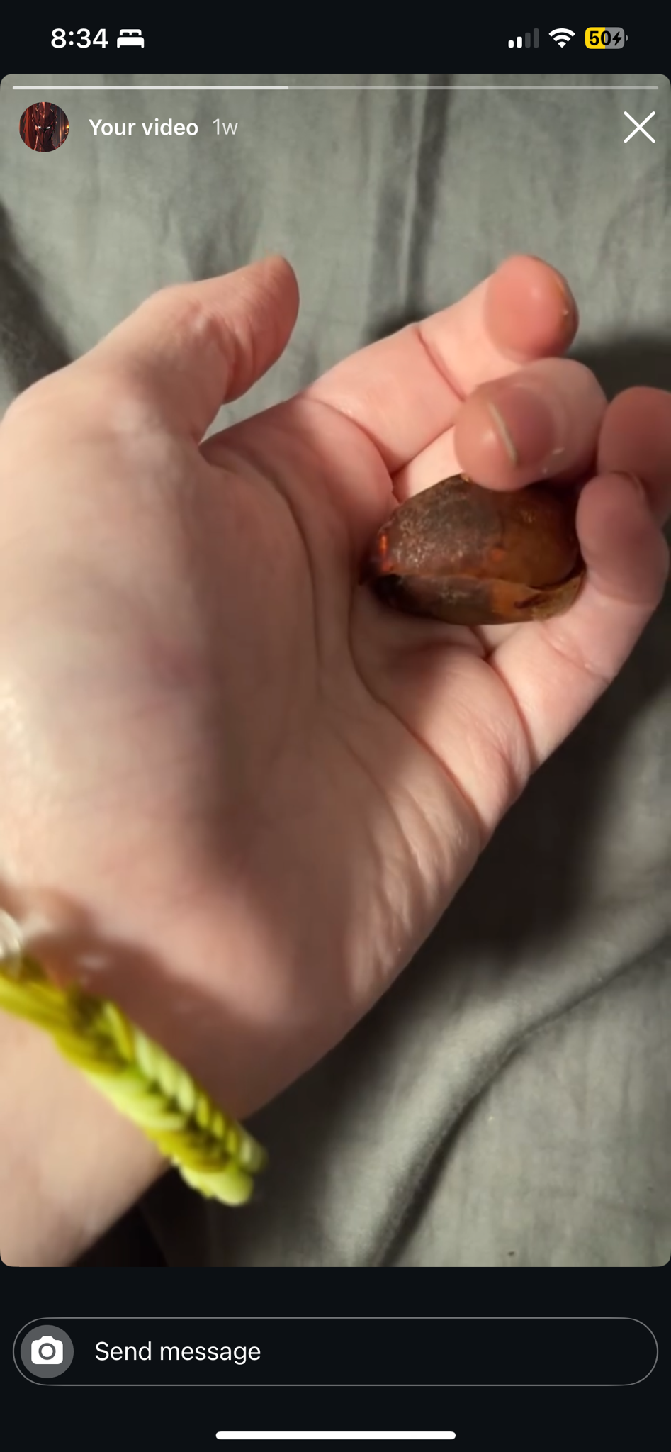 The Adorable Small Avocado