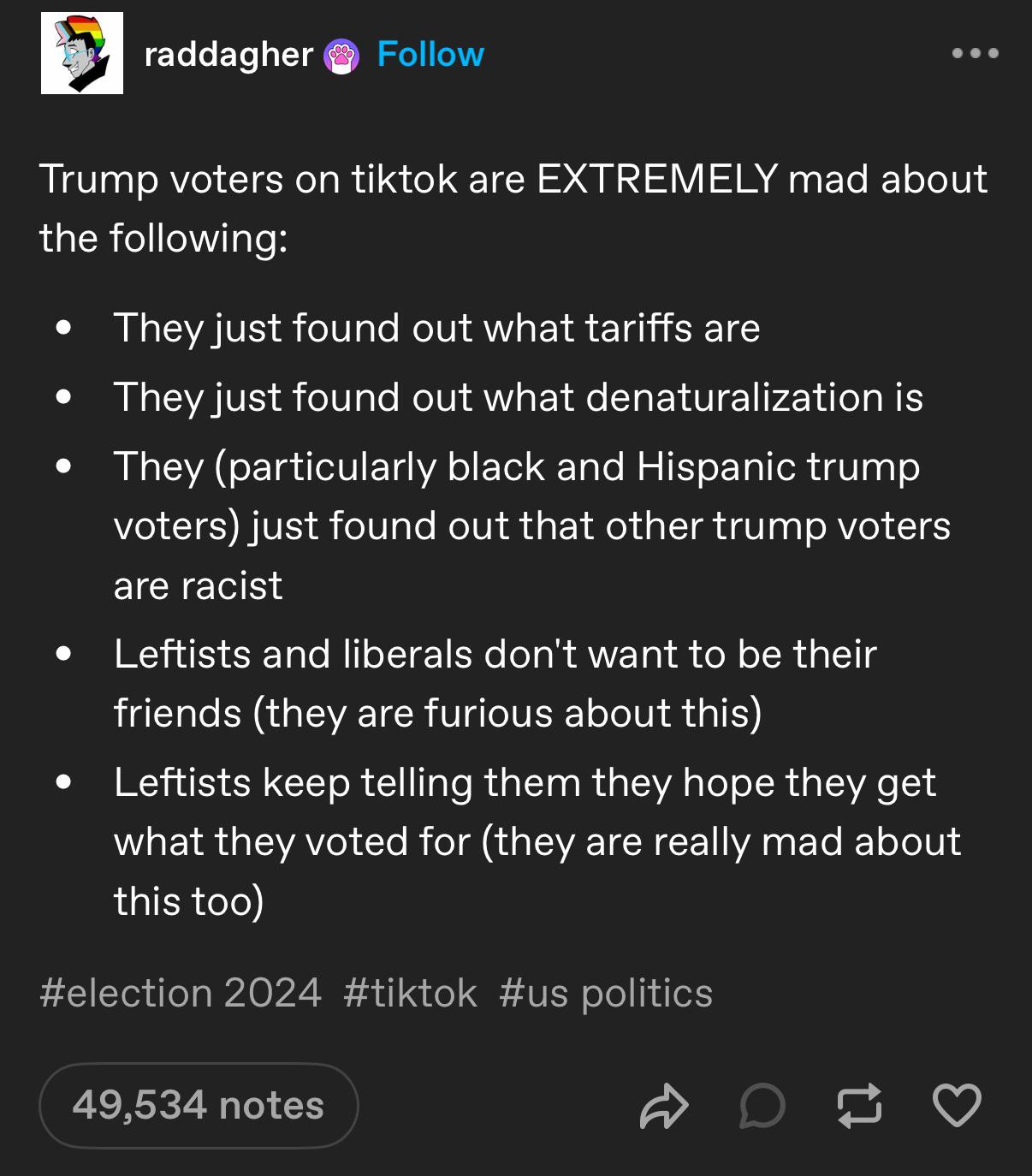 A Glimpse into the World of Trump Voters on TikTok