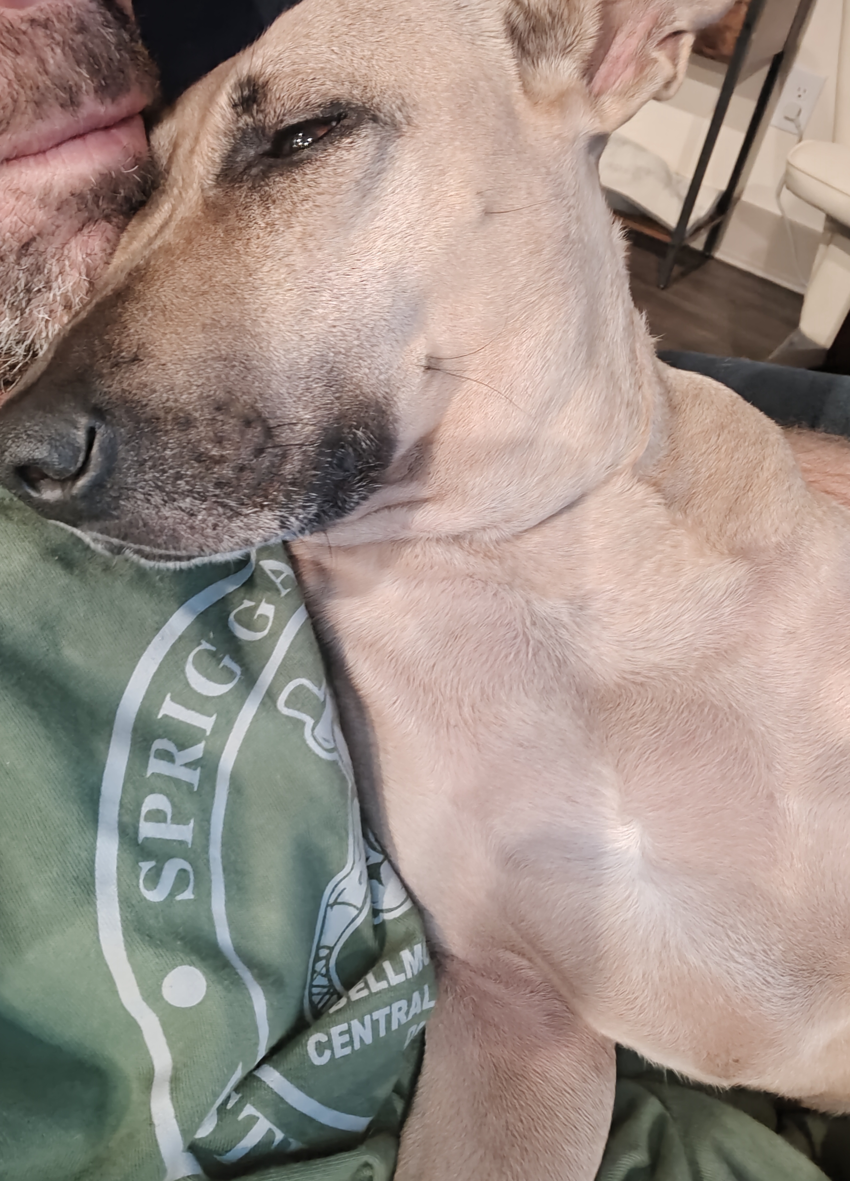 Maggie is my cheerleader, keeping my spirits high