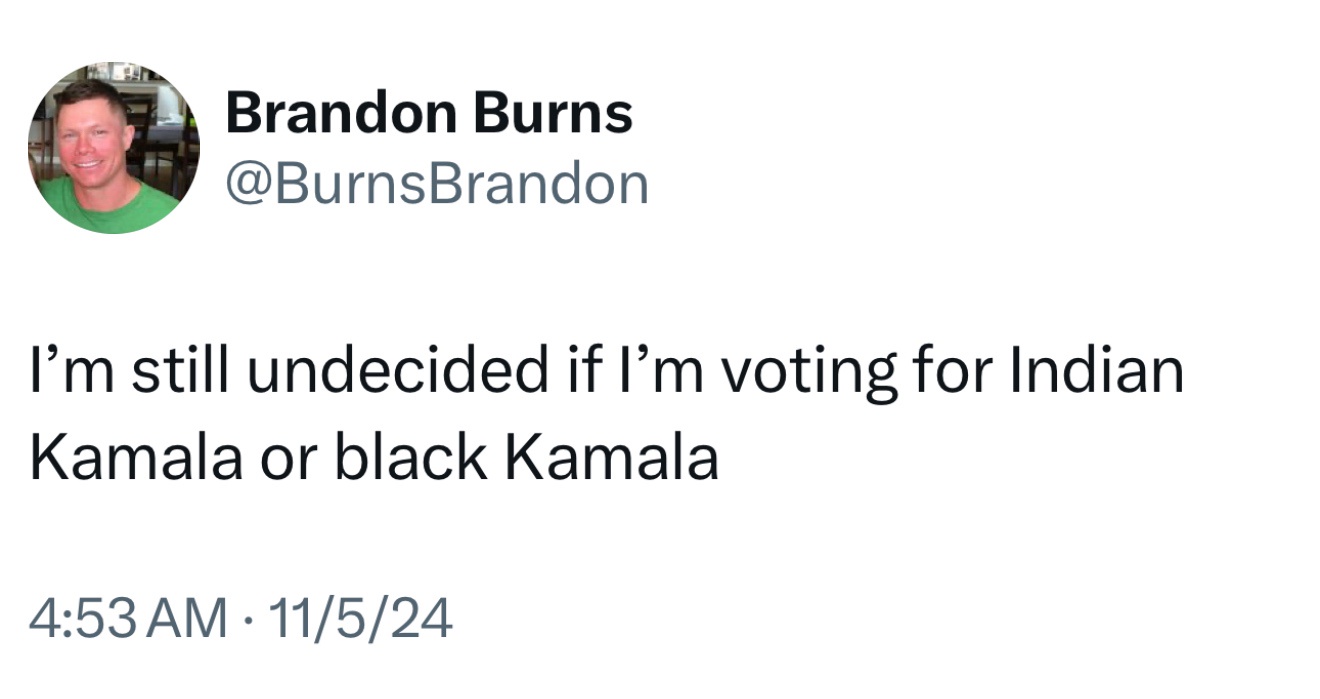 Who Are You Supporting? [Fill in the Blank] for Kamala Still Undecided