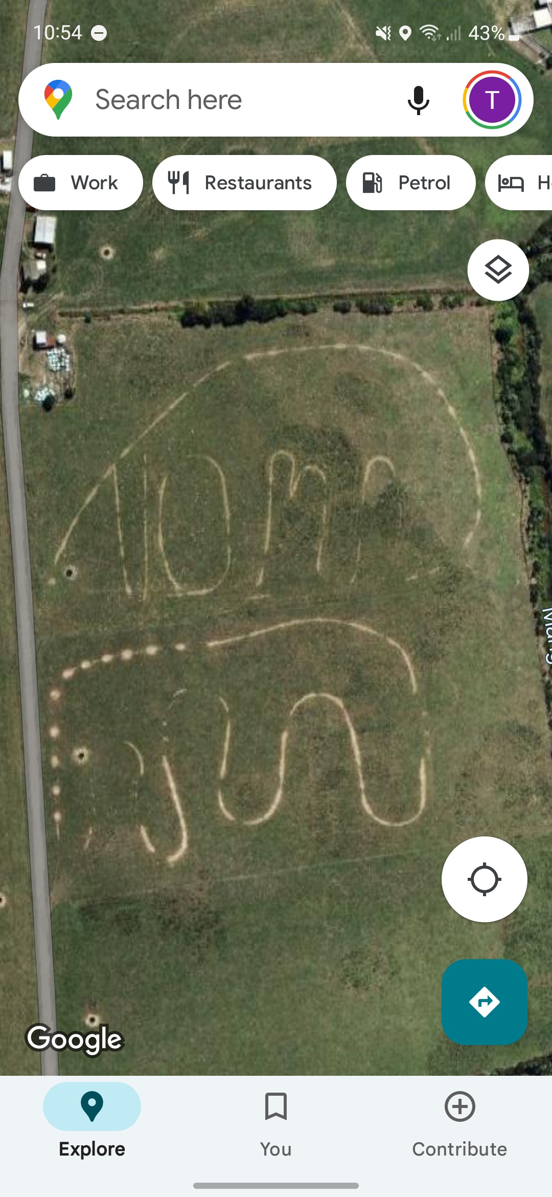 What on Earth Are These Mysterious Creatures?