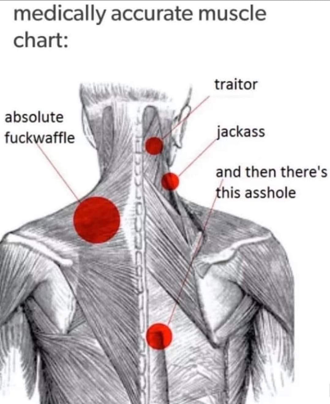 As a Licensed Massage Therapist, I Can Confirm These Are Spot On
