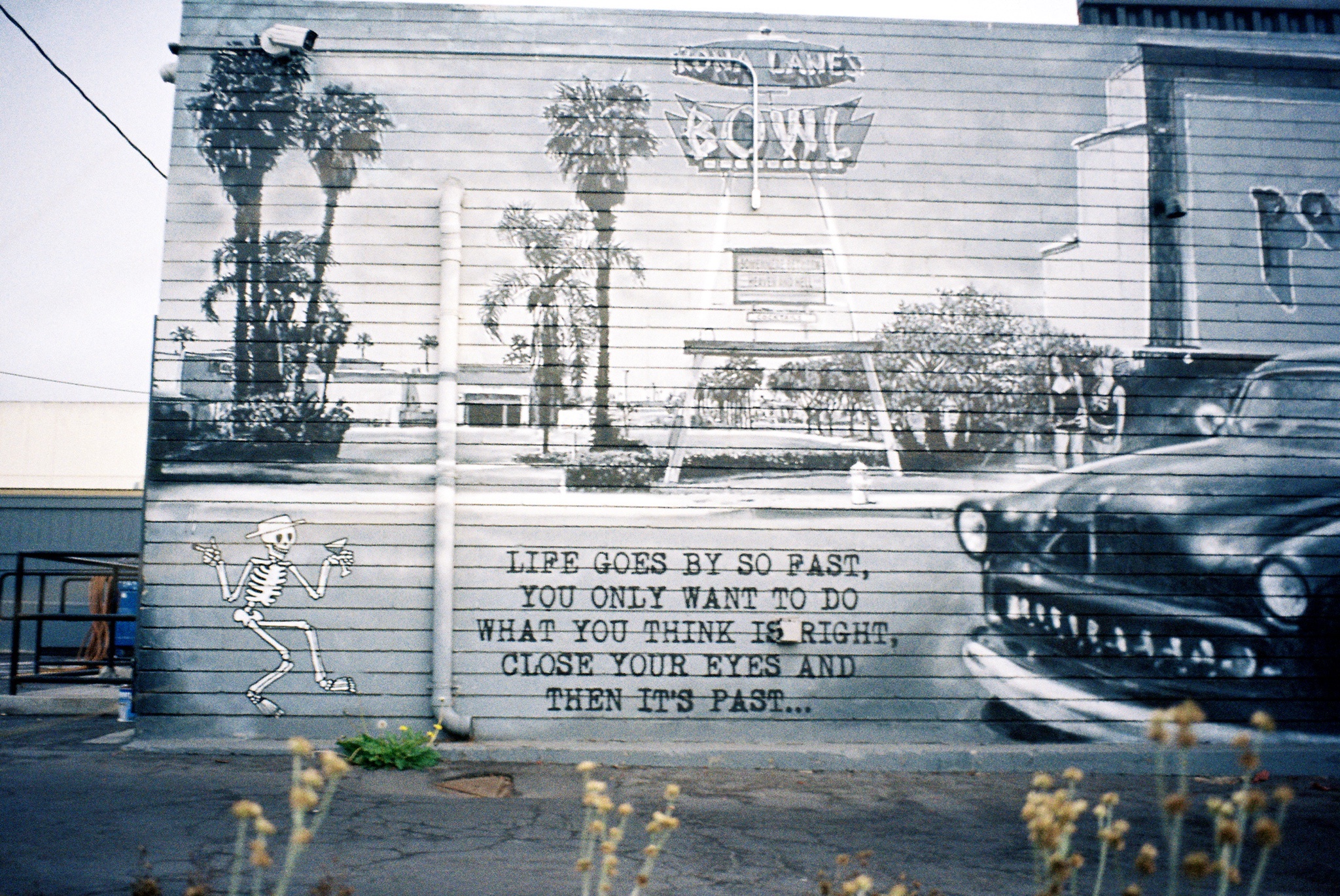Captured on 35mm film in Huntington Beach, CA, 2024.