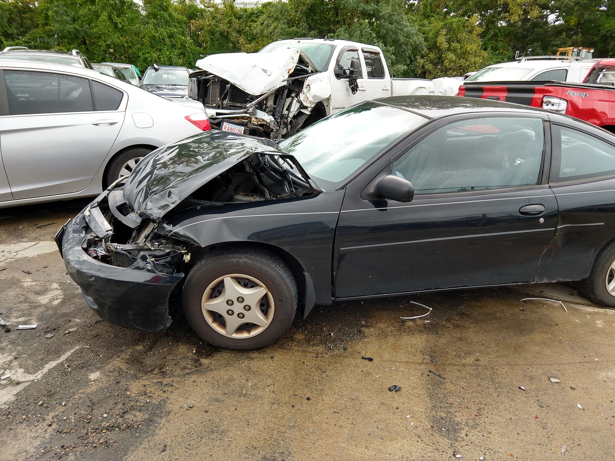 The Rollercoaster Journey of My Car