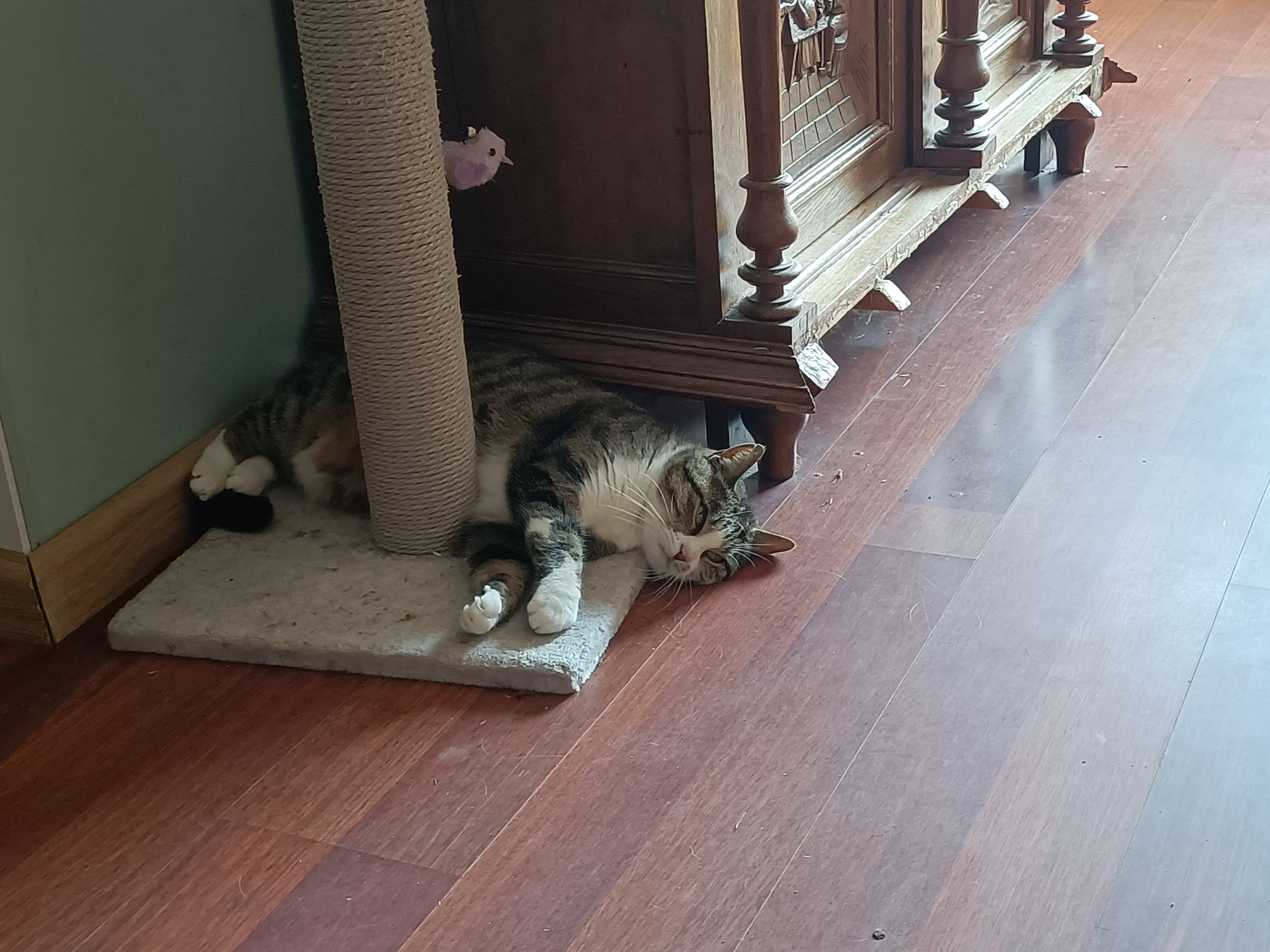 Playtime Ends, It's Naptime Now!