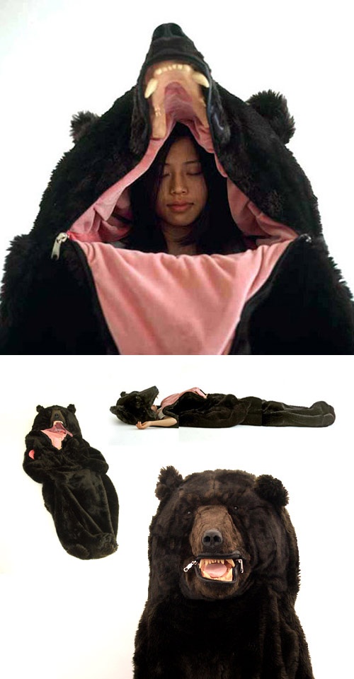 The Surprising Reasons Women Choose the Bear
