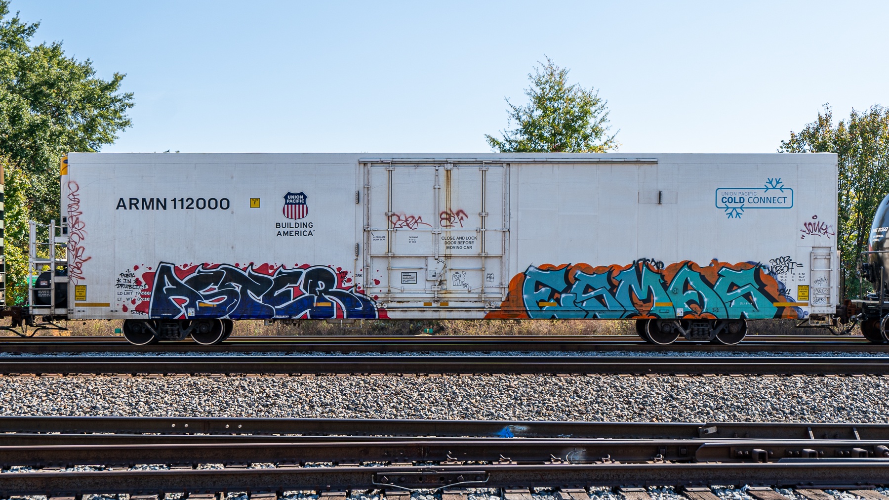 Daily Train Car Chronicles: Day 113