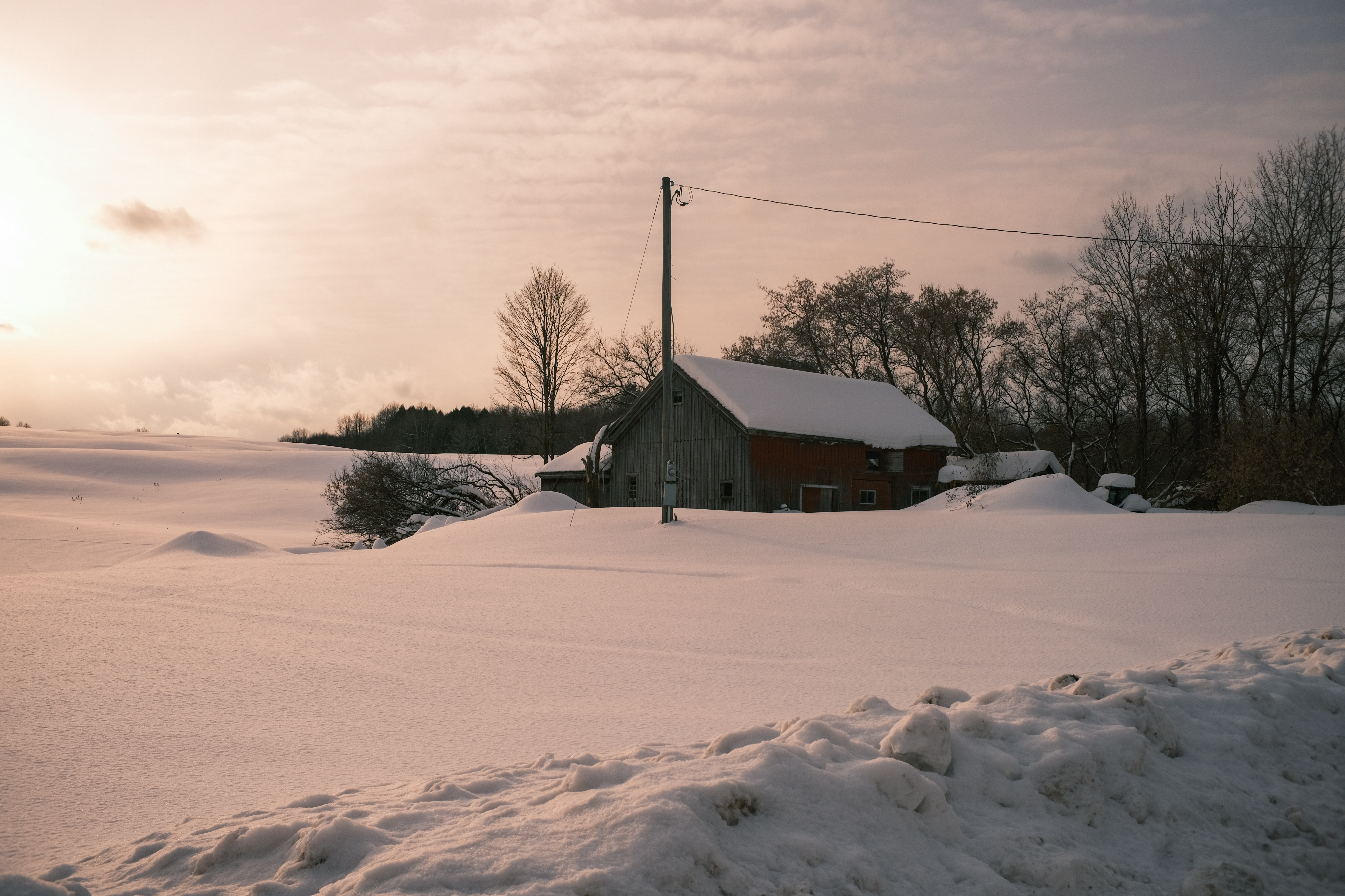 Charming Late Afternoon Vibes in February