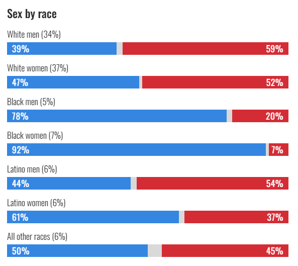Breaking Down the Voter Demographics