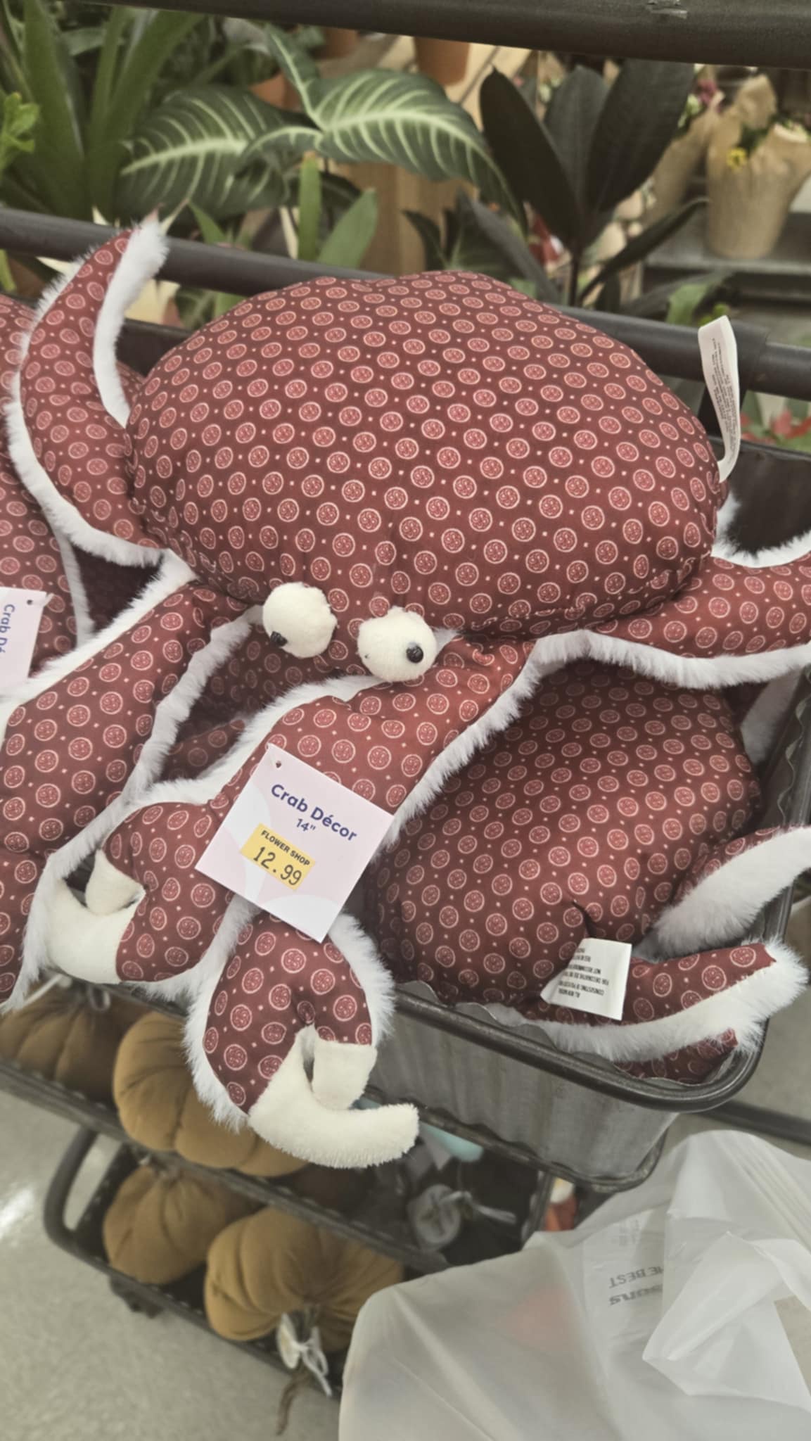 This Valentine's Day, surprise your significant other with the unforgettable gift of crabs! Only at your local Albertsons, because who doesn't love a little VD fun?