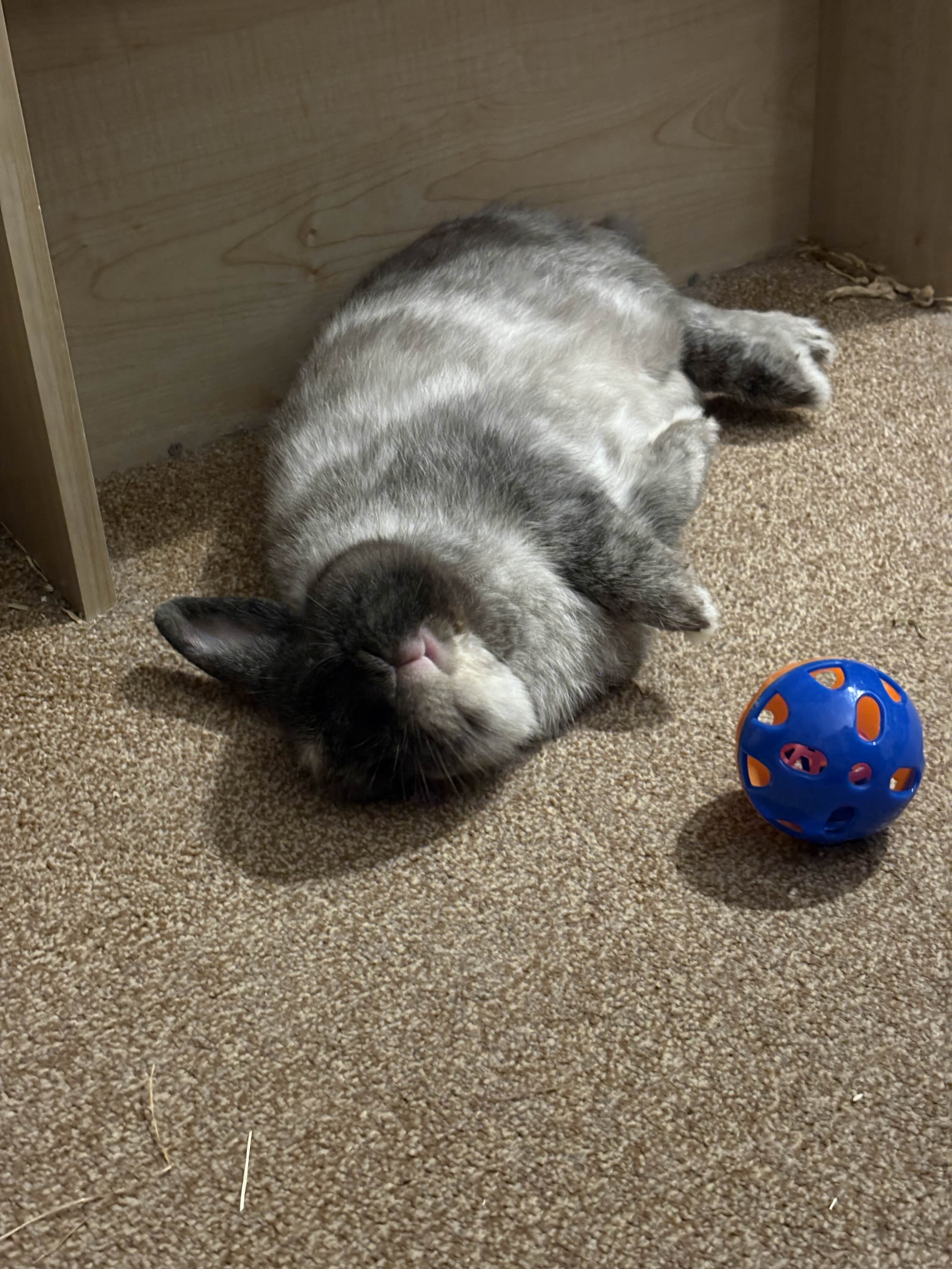 Epic Fail: The Ultimate Flop!
