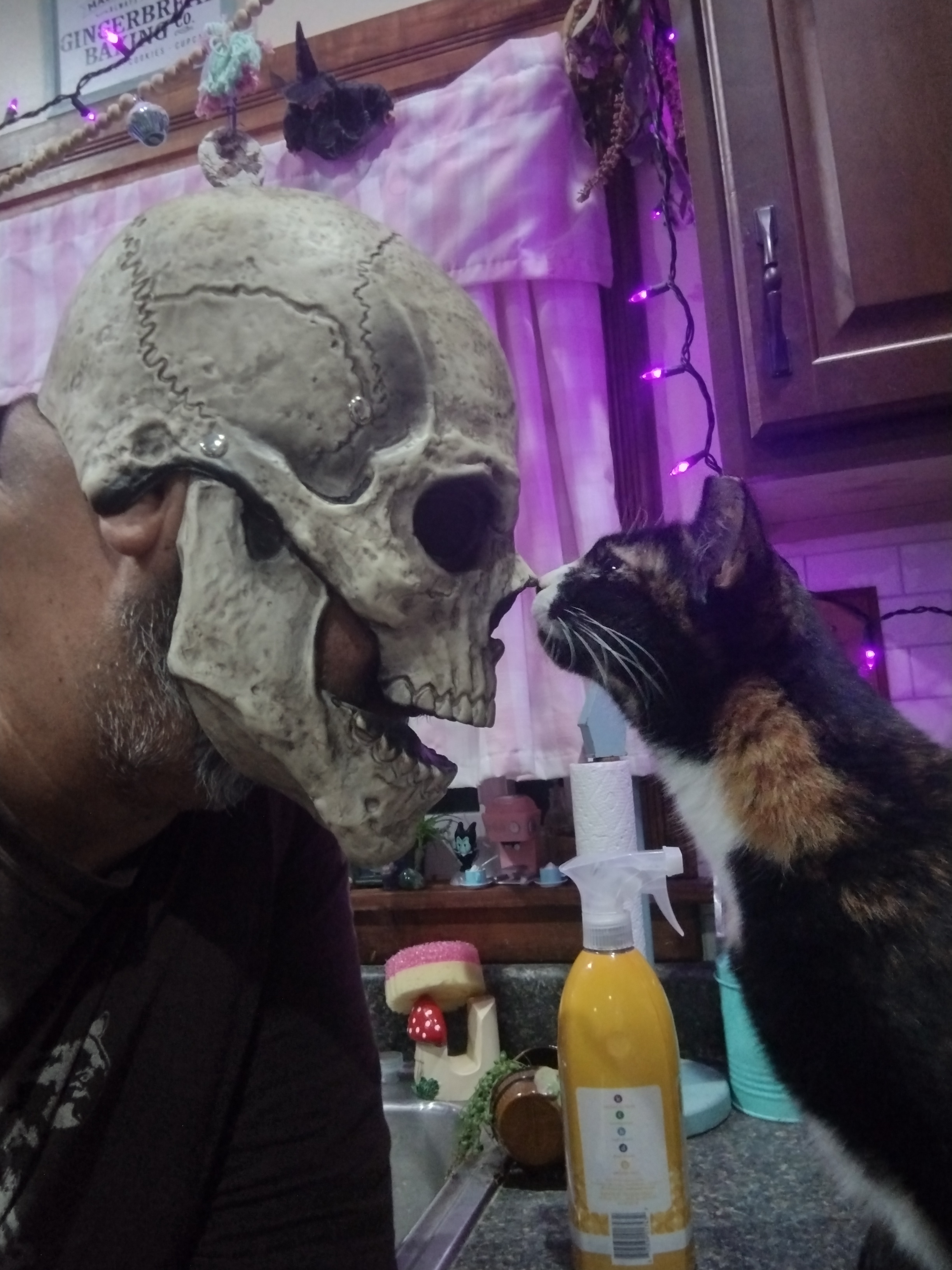 Happy Halloween to All You Ghouls and Goblins!