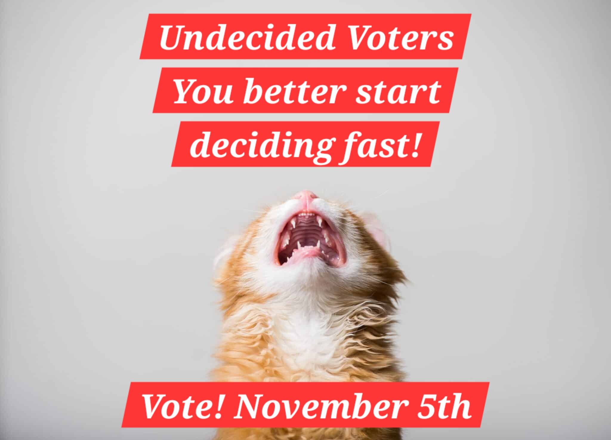 A Message to My Undecided Voters: Make Your Voice Heard on November 5th!