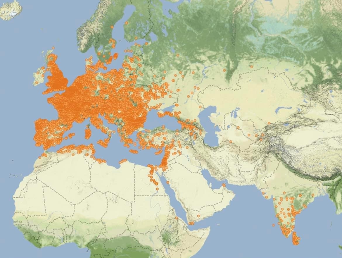 Unearthing History: Where Roman Coins Have Been Discovered