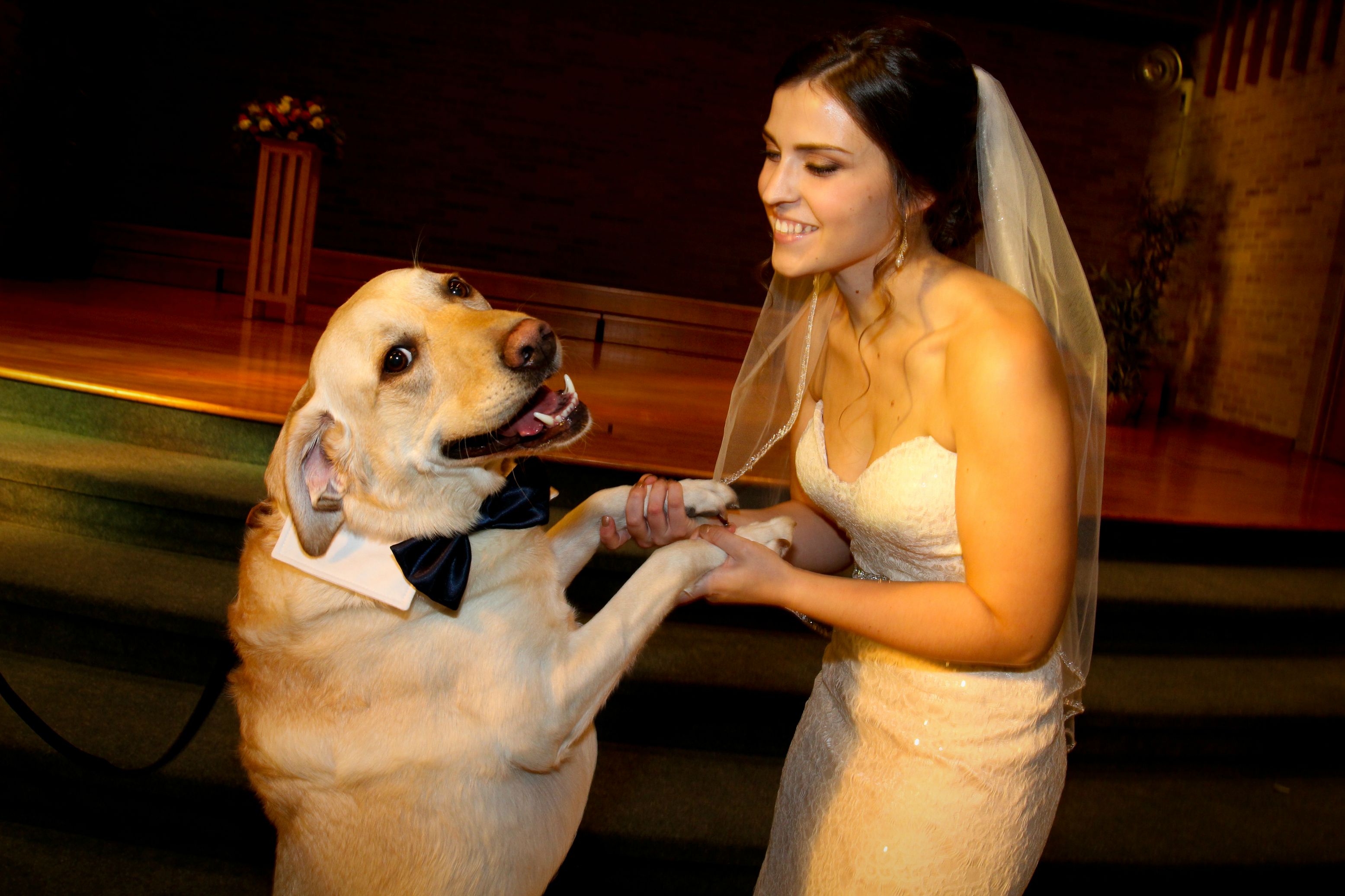 My dog Odin gives a warm welcome to my new wife, joining the family pack!