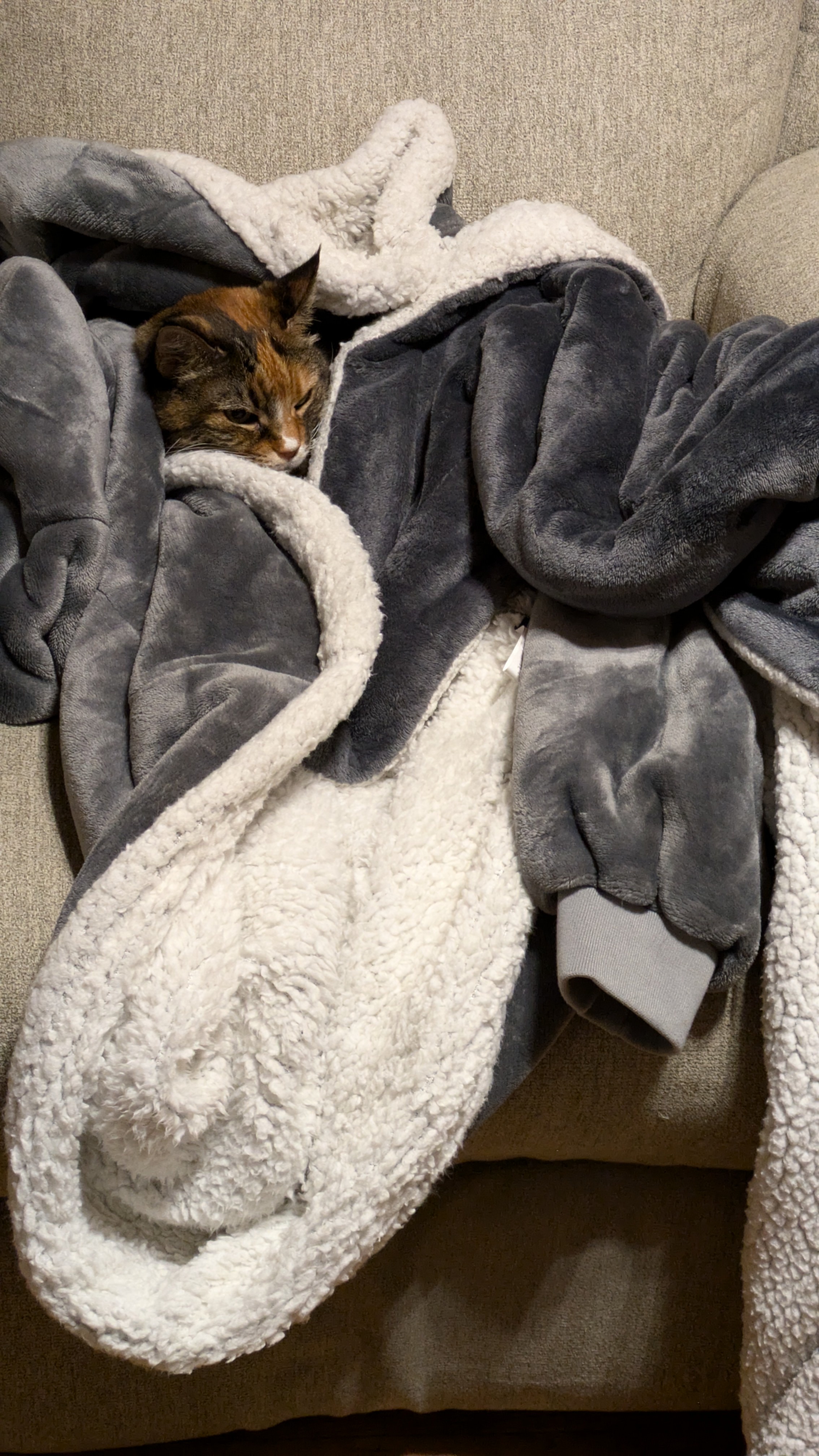 Abby Claims My Chair and Blanket Hoodie: The Ultimate Heist!