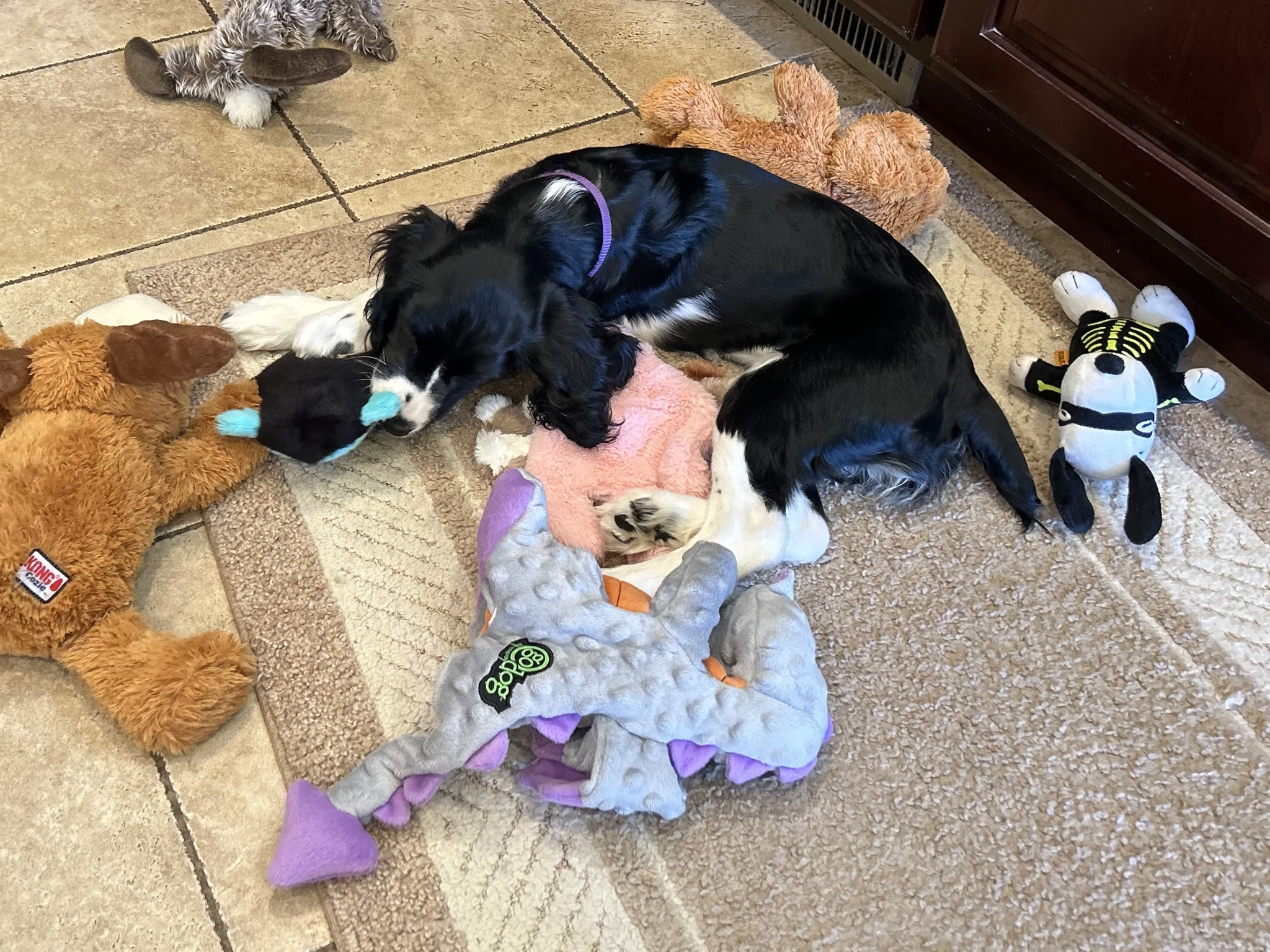 Introducing Sunnielynne: A Name Full of Sunshine