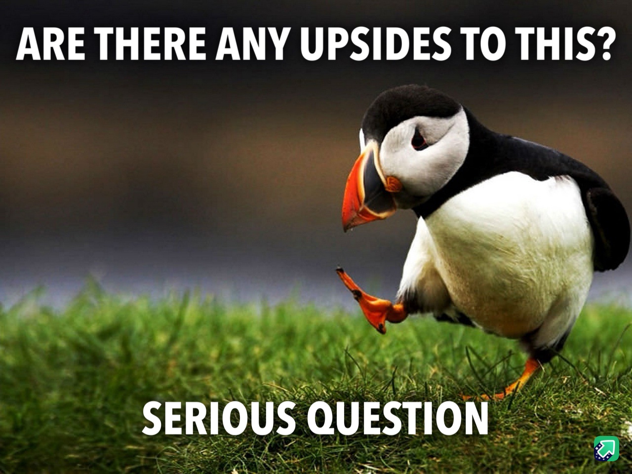 Is anyone else feeling this way?