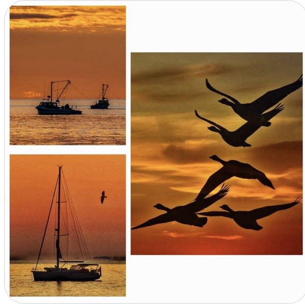 Breathtaking Sunrise Photography