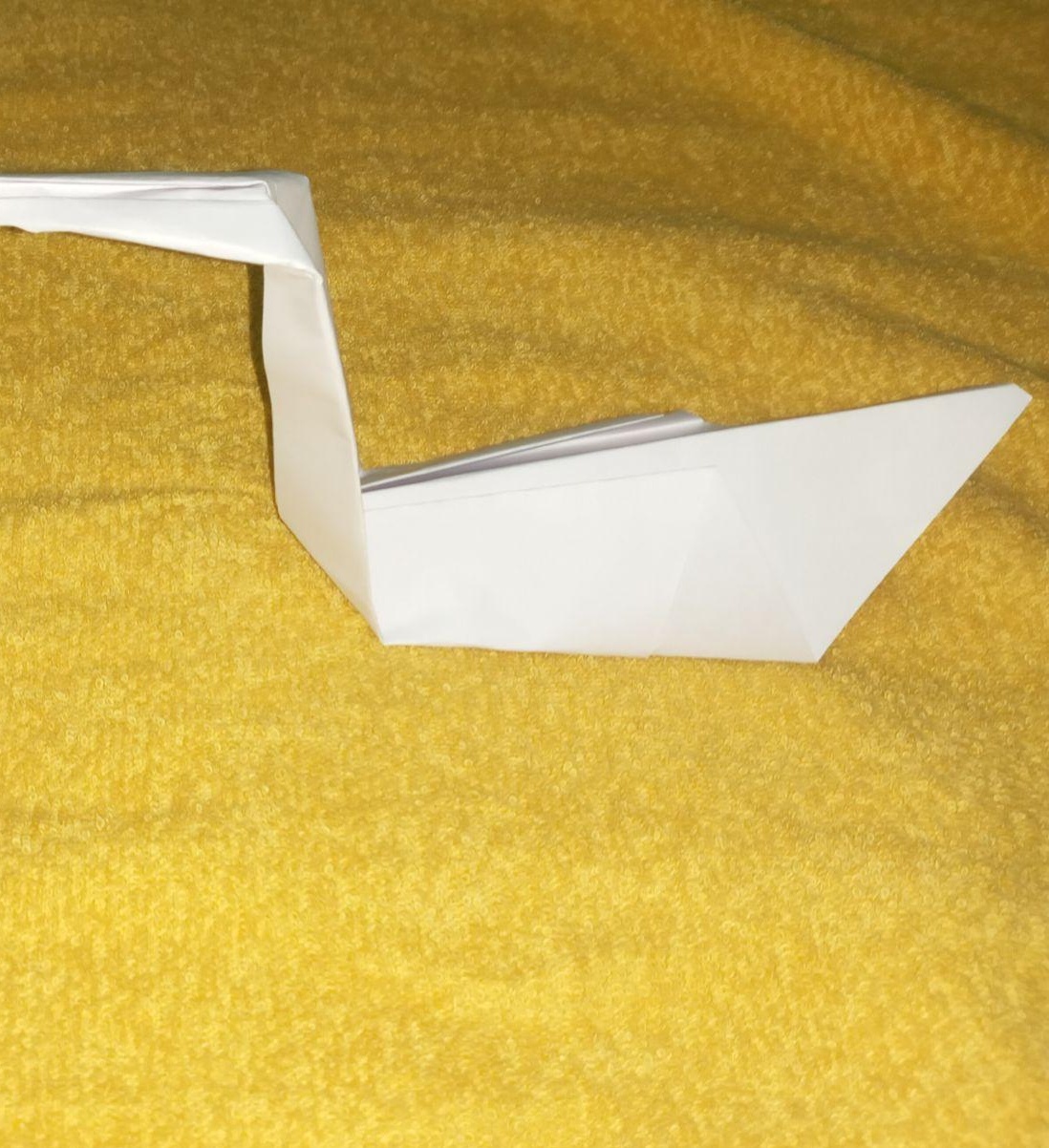 The Elegance of a Paper Swan