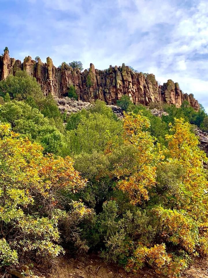 Discovering the Wonders of the Canyon