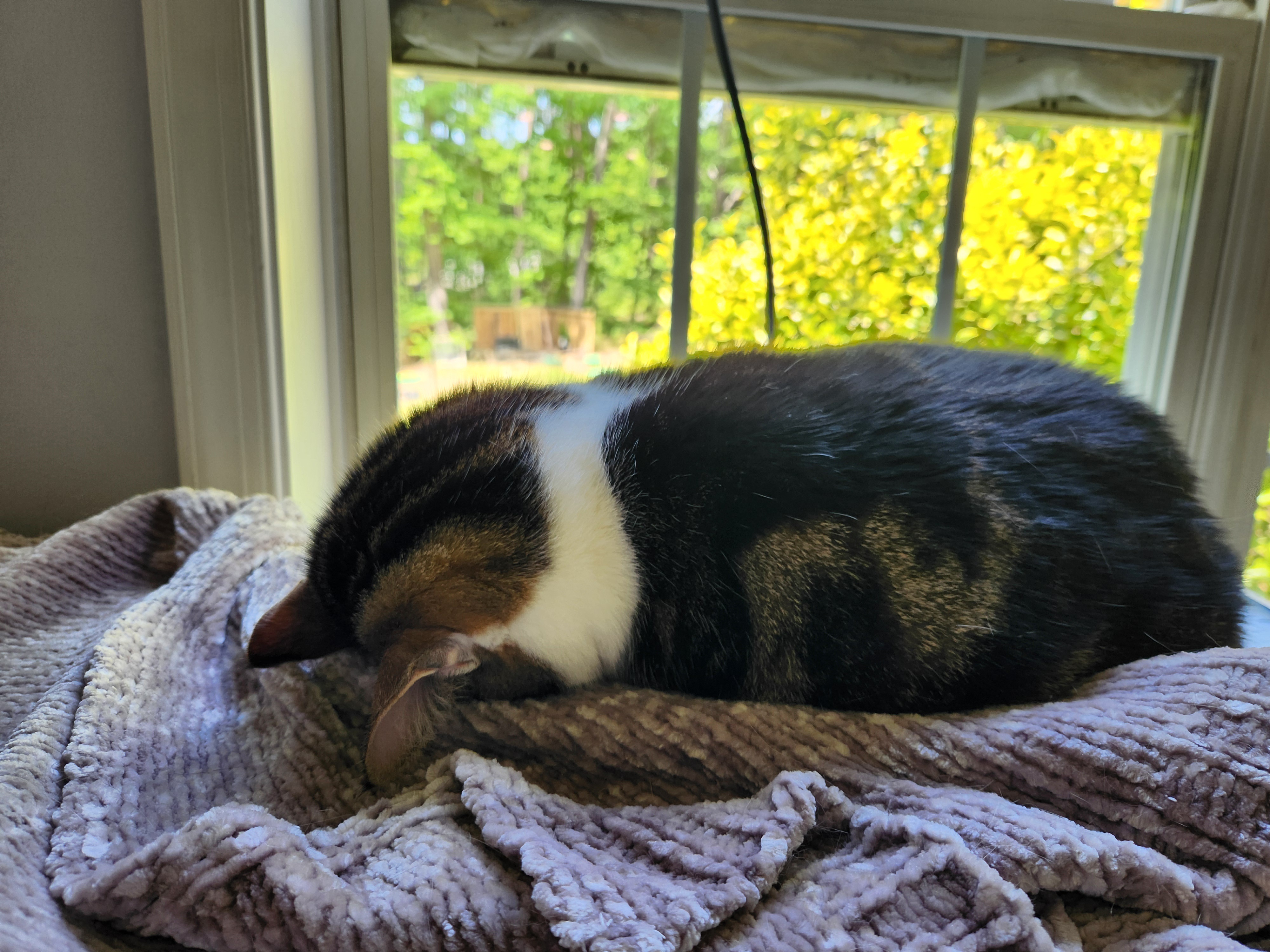 Some days just call for a spectacular faceplant.