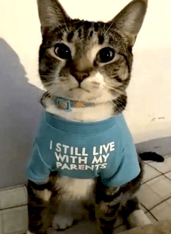 No shame at all, Kitty! You're doing just fine.