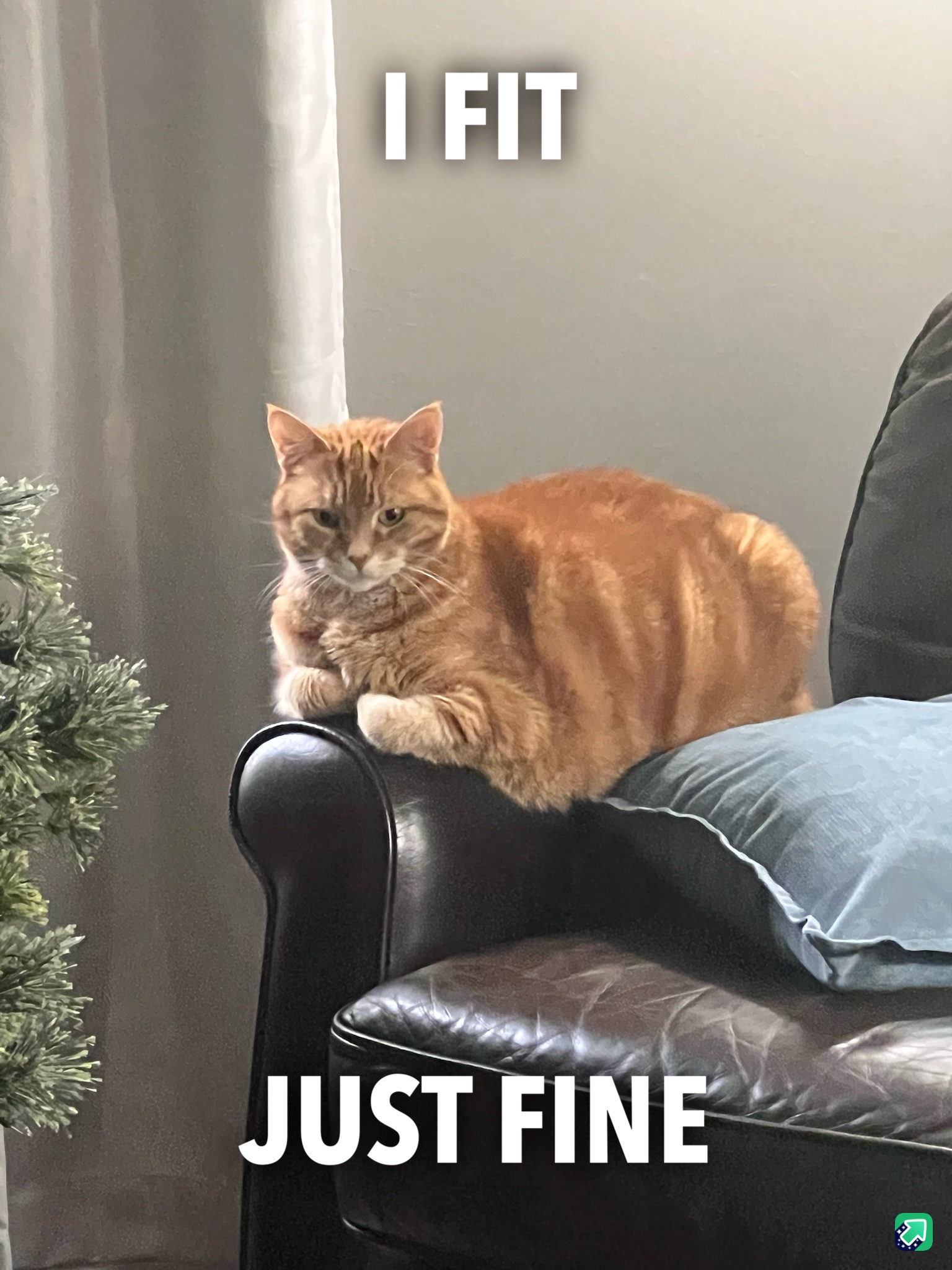 He's Determined to Fit In, No Matter What