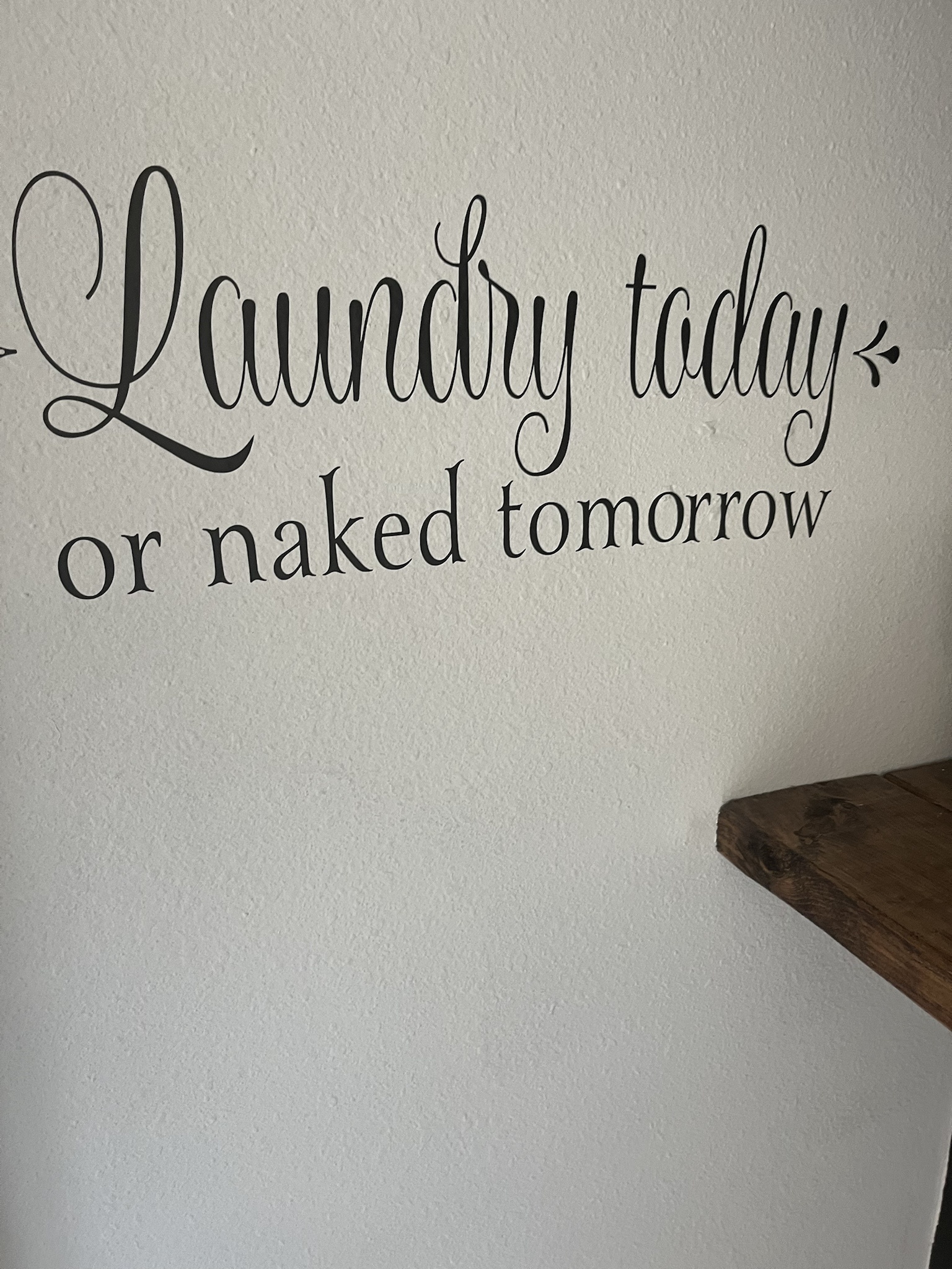Laundry Today, Freedom Tomorrow